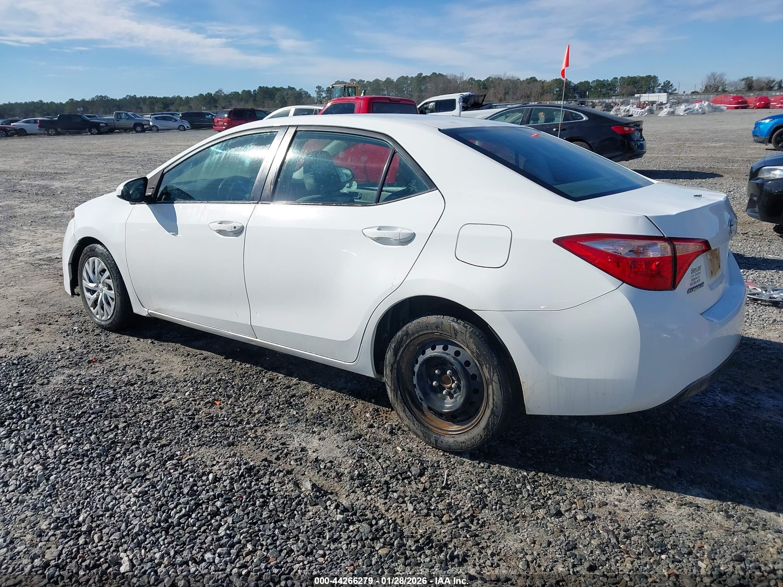 TOYOTA COROLLA image 3