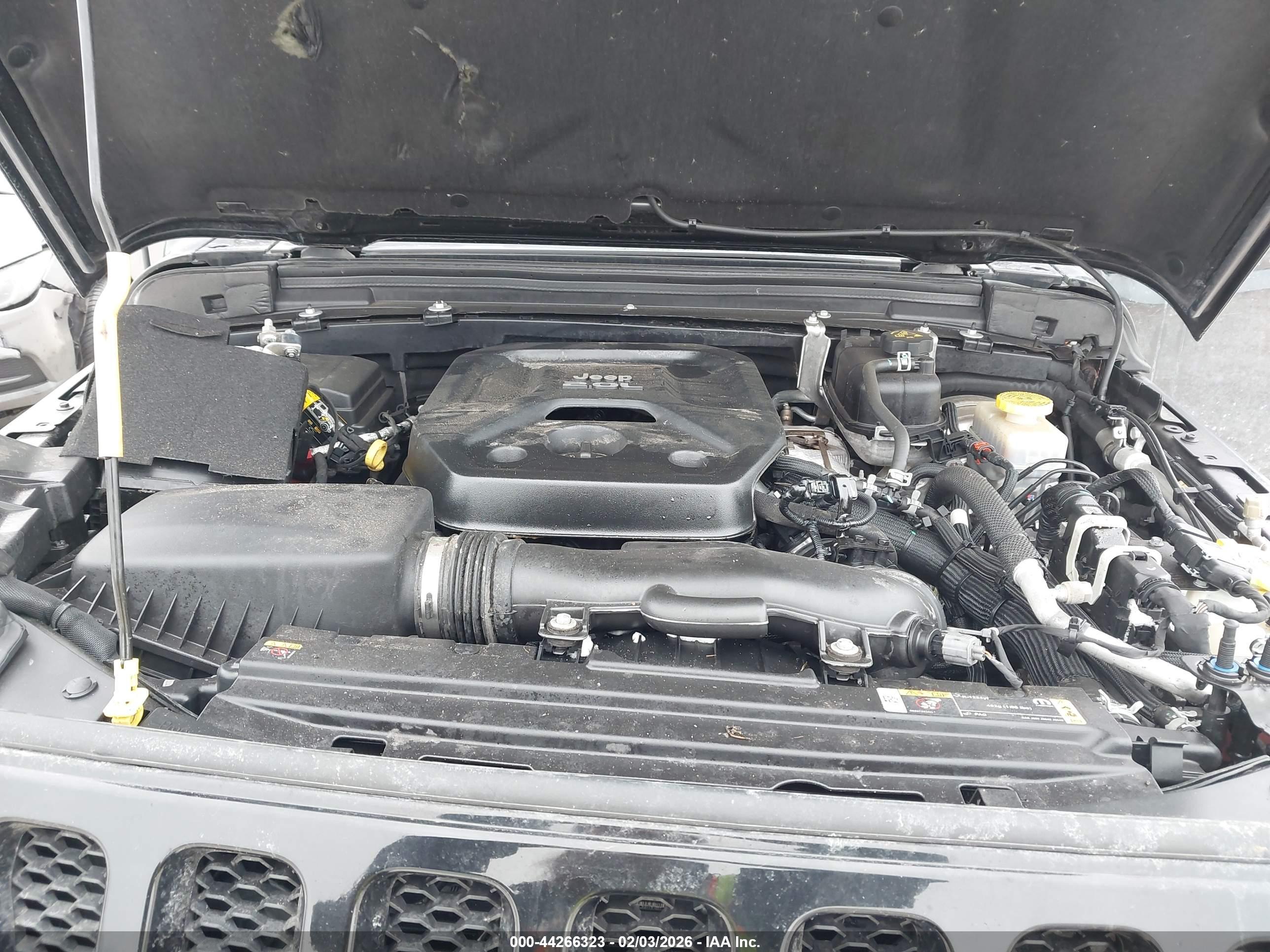 JEEP WRANGLER image 10