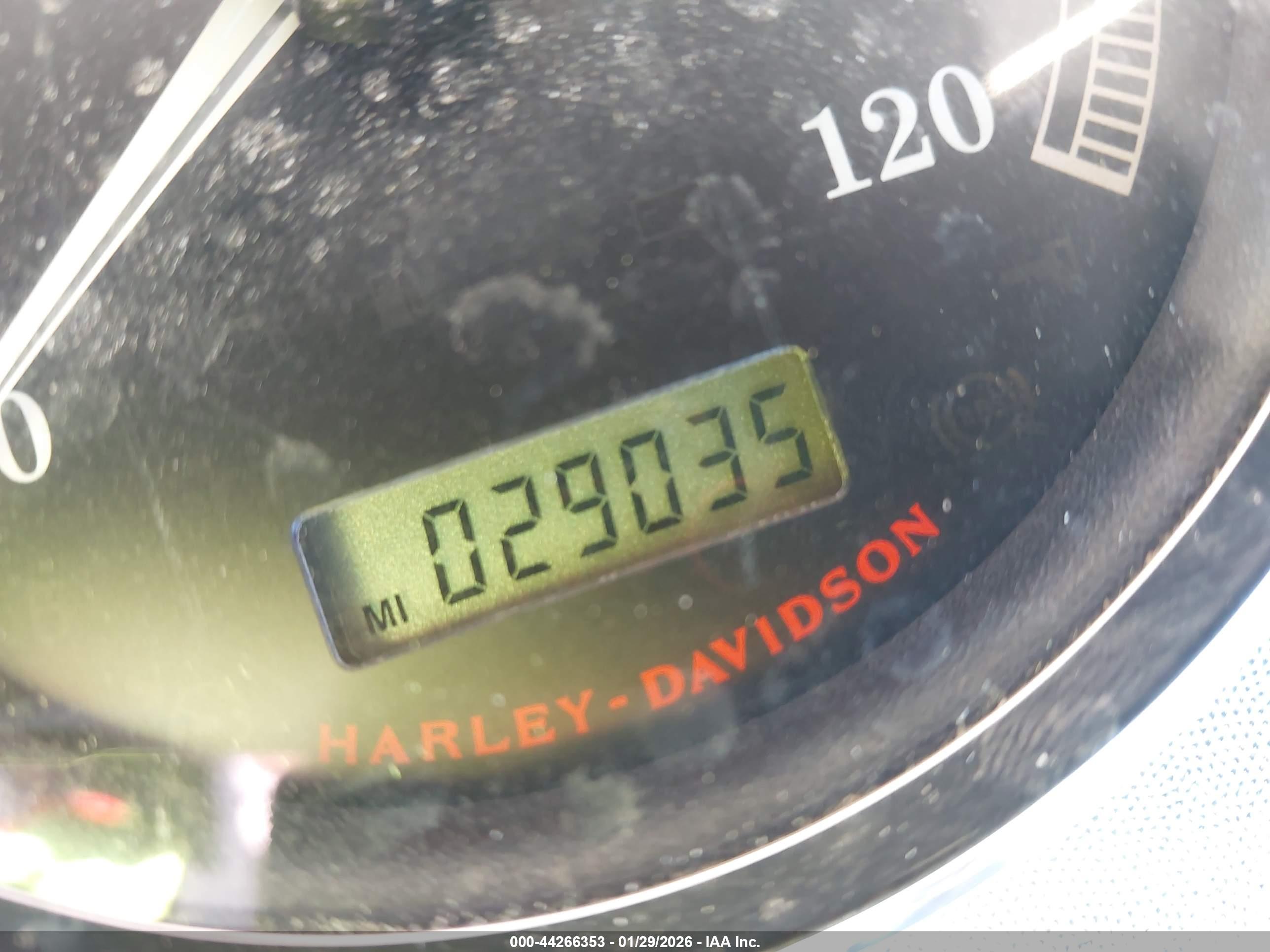 HARLEY-DAVIDSON FLSTF image 7