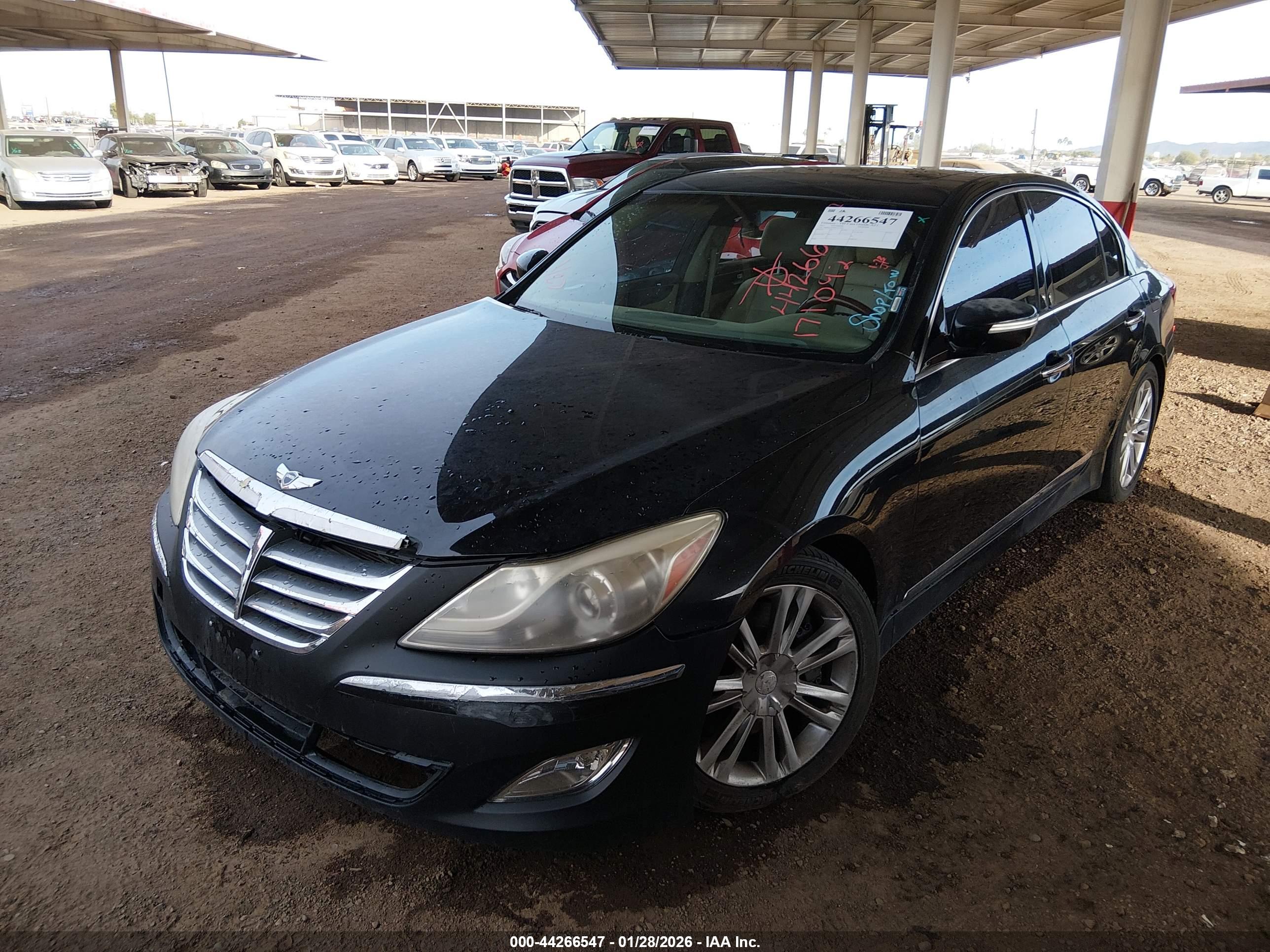 HYUNDAI GENESIS image 2