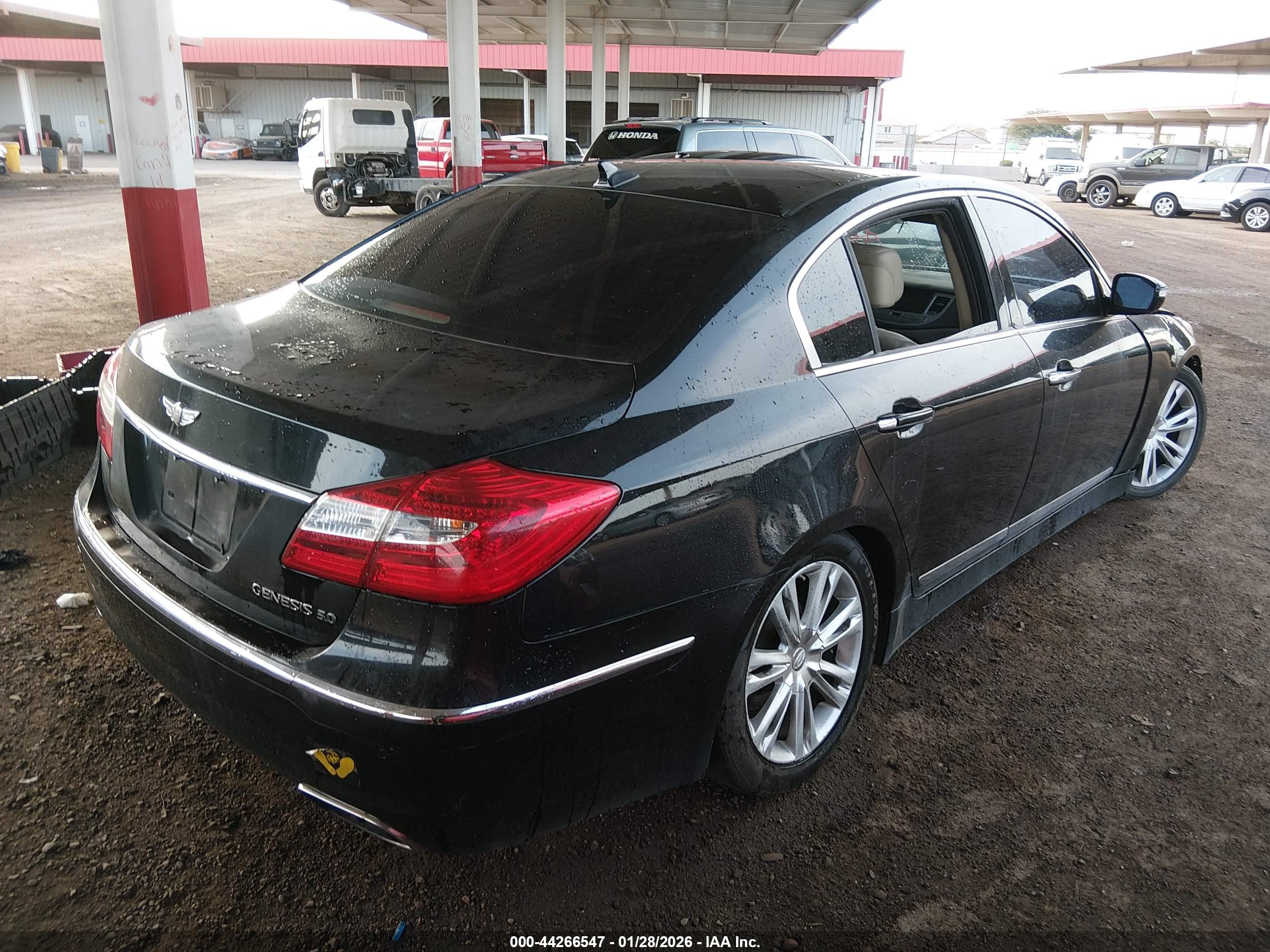 HYUNDAI GENESIS image 4