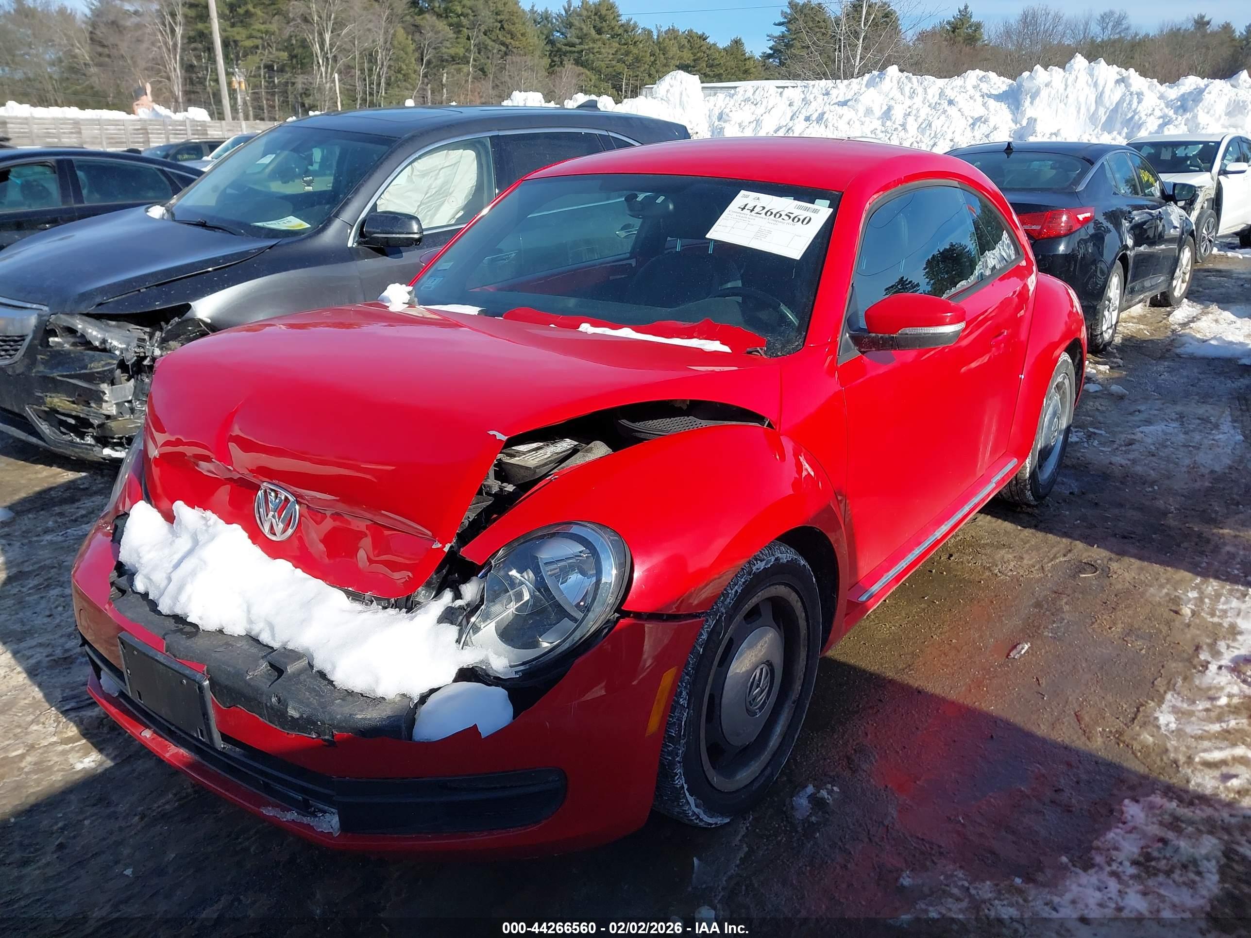 VOLKSWAGEN BEETLE image 2