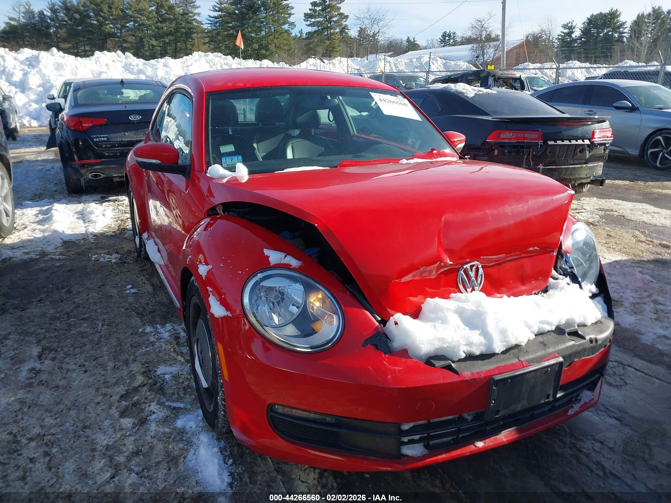 VOLKSWAGEN BEETLE image 6