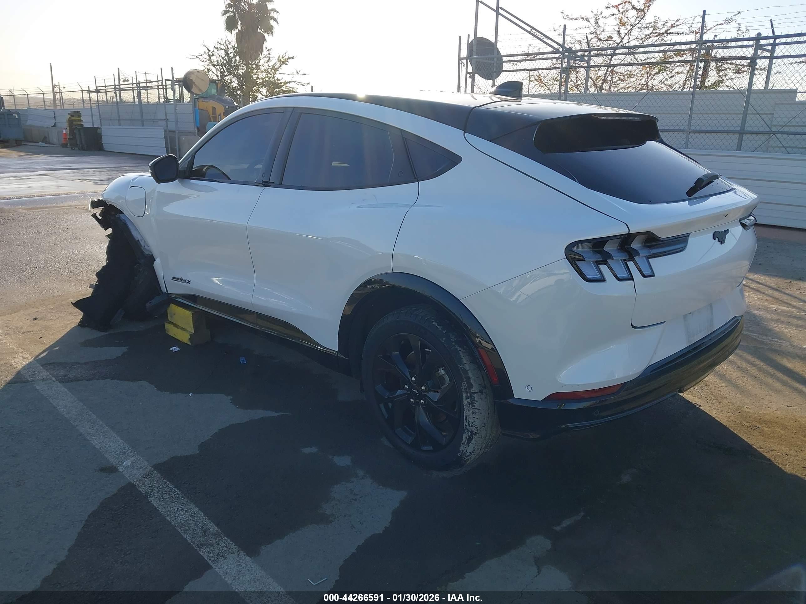 FORD MUSTANG image 3