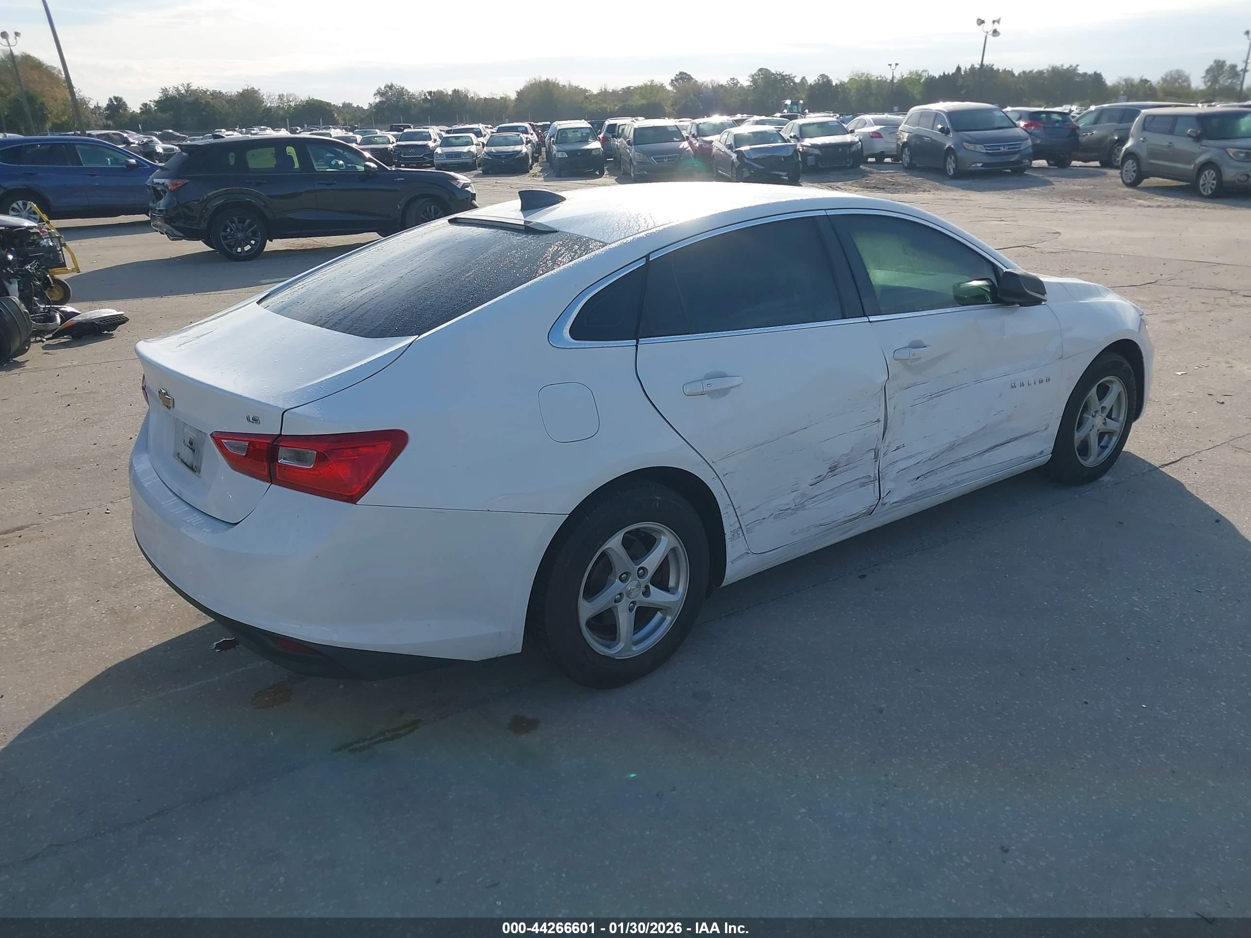 CHEVROLET MALIBU image 4