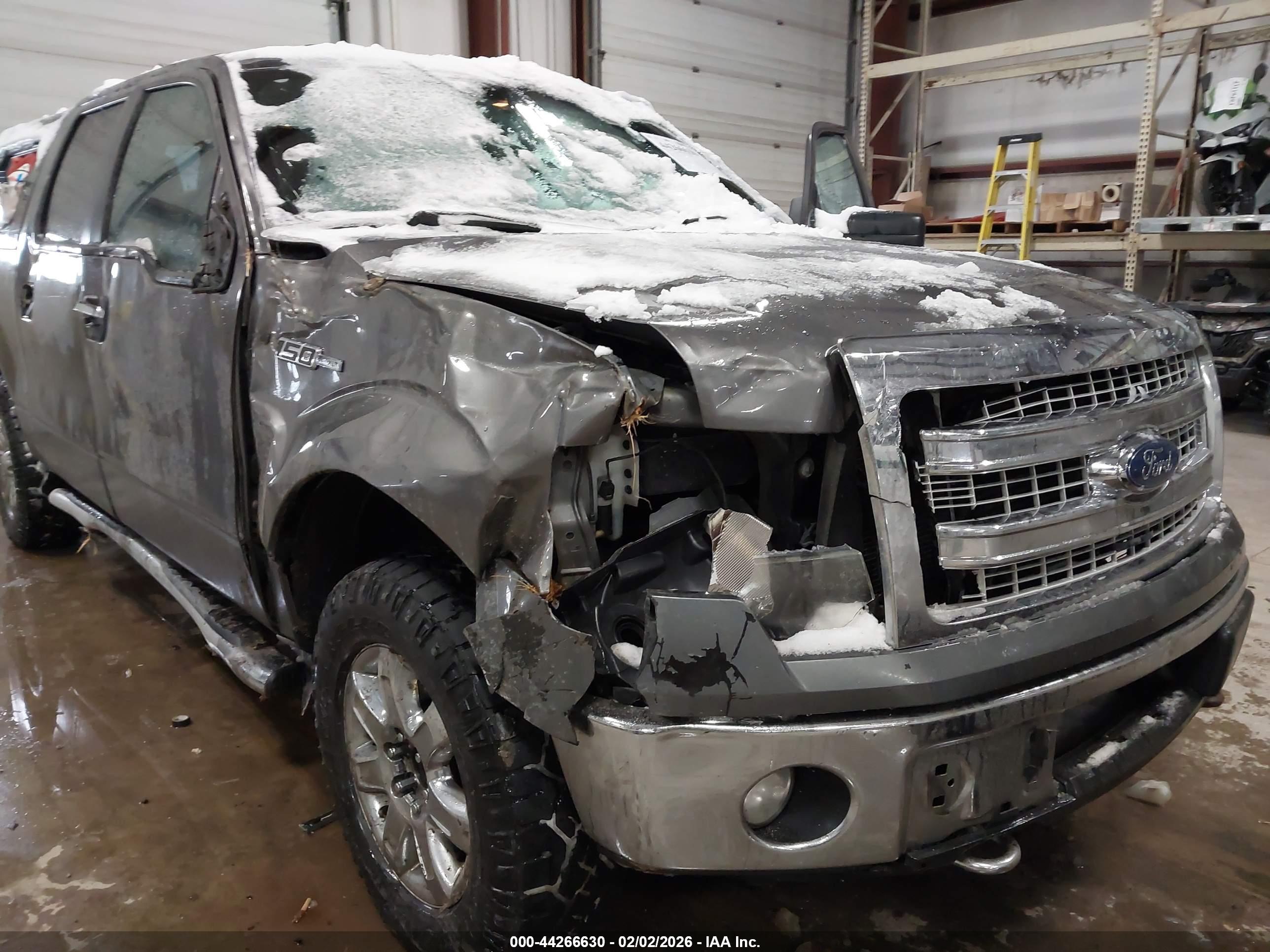 FORD F-150 image 6