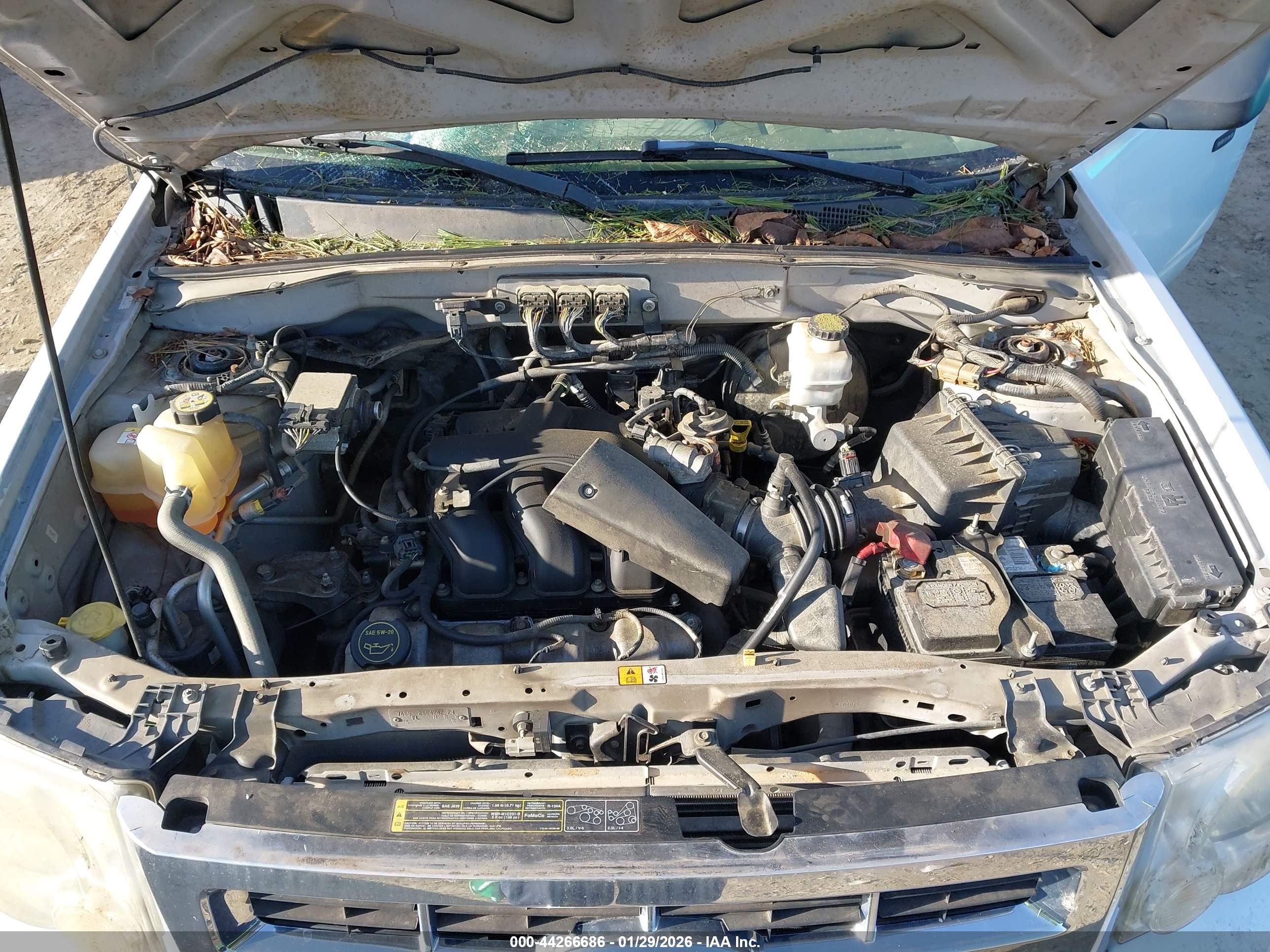 FORD ESCAPE image 10