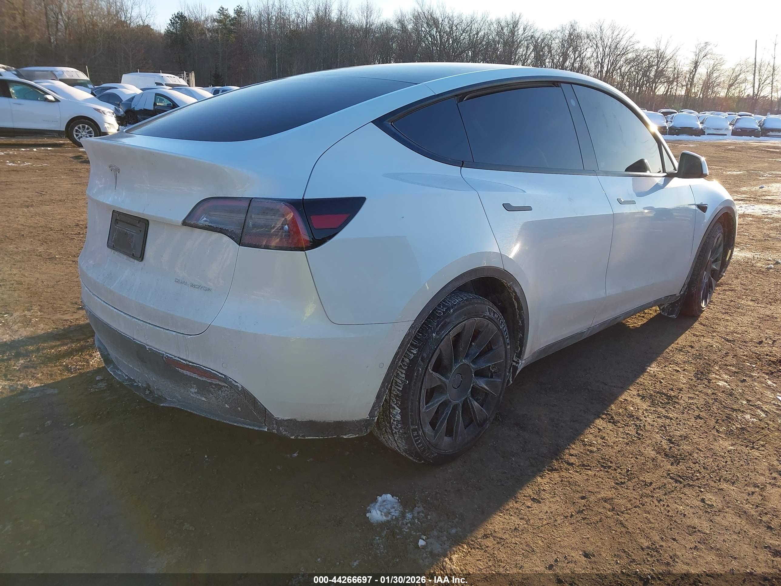 TESLA MODEL image 4