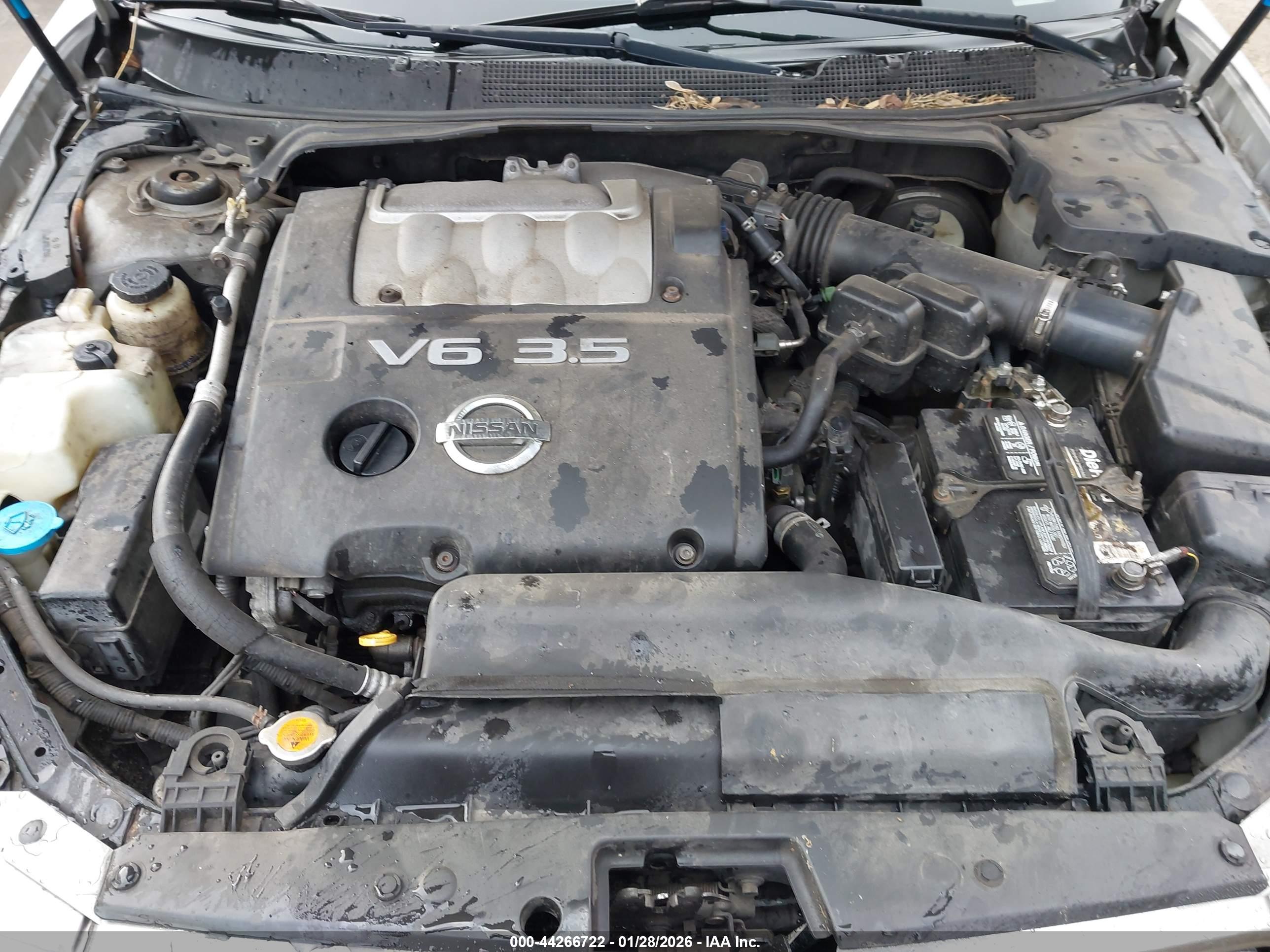 NISSAN MAXIMA image 10