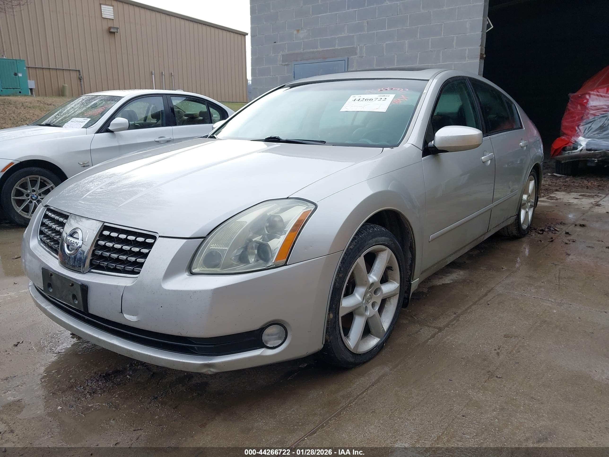 NISSAN MAXIMA image 2