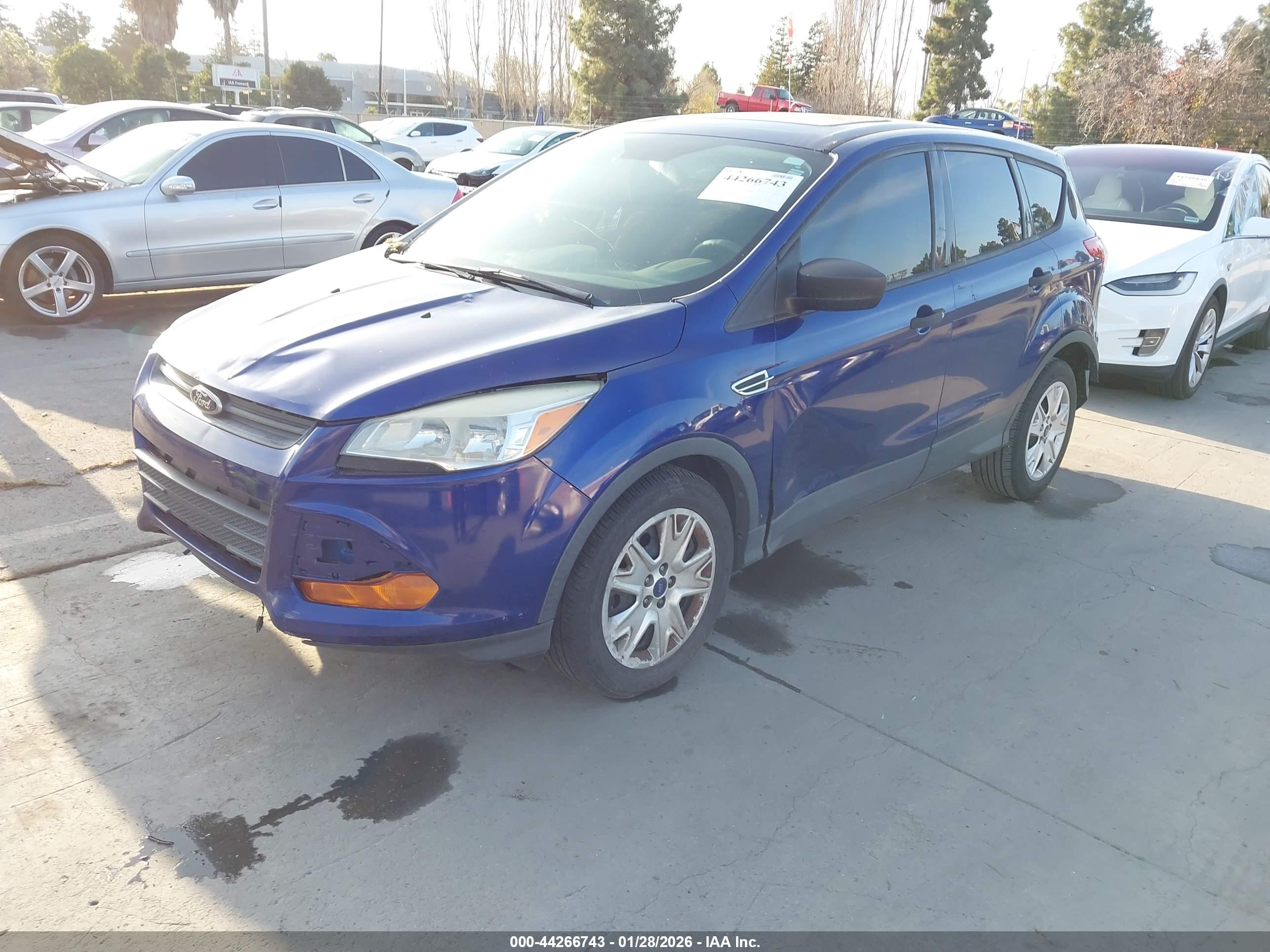 FORD ESCAPE image 2