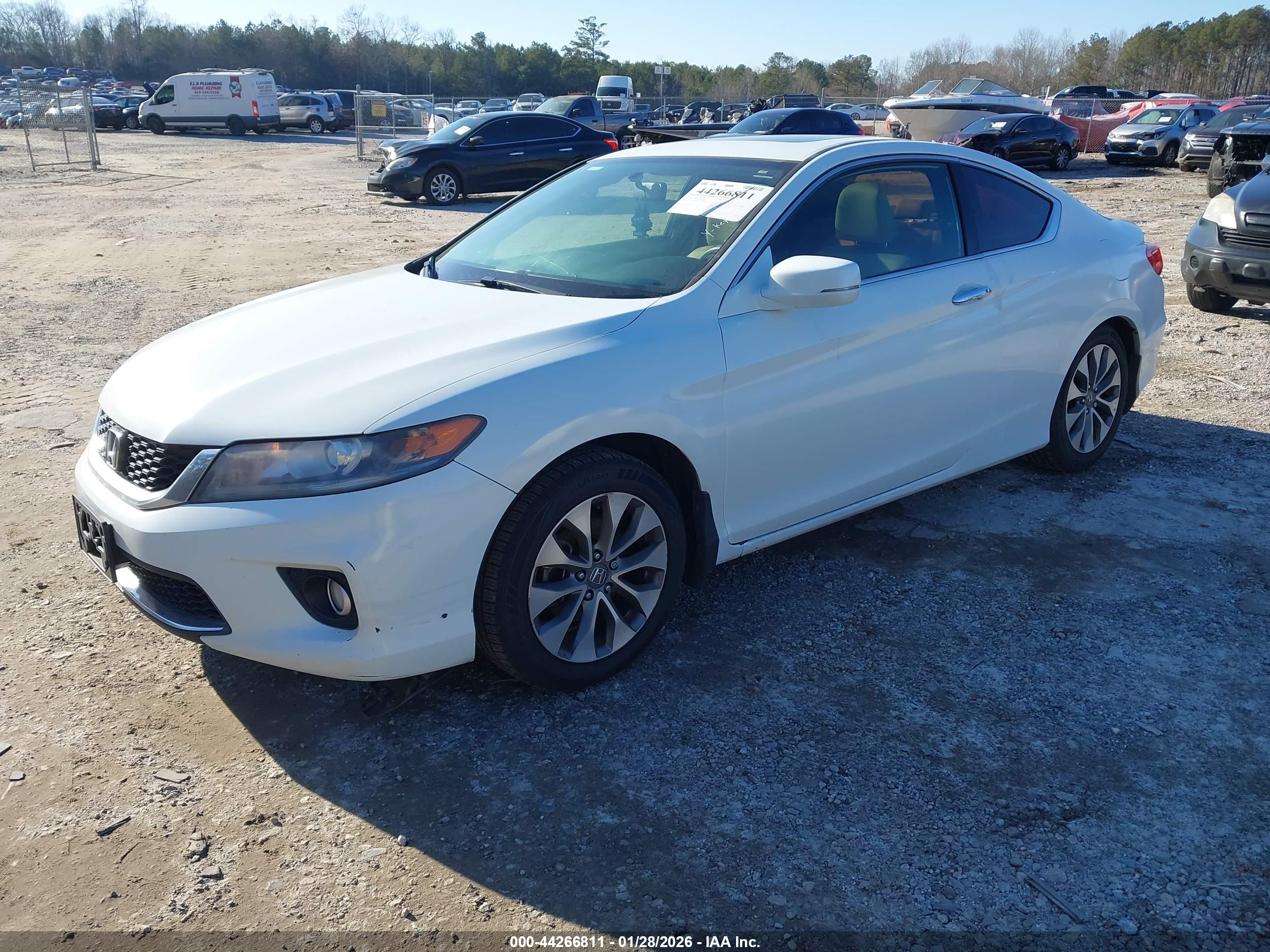 HONDA ACCORD image 2