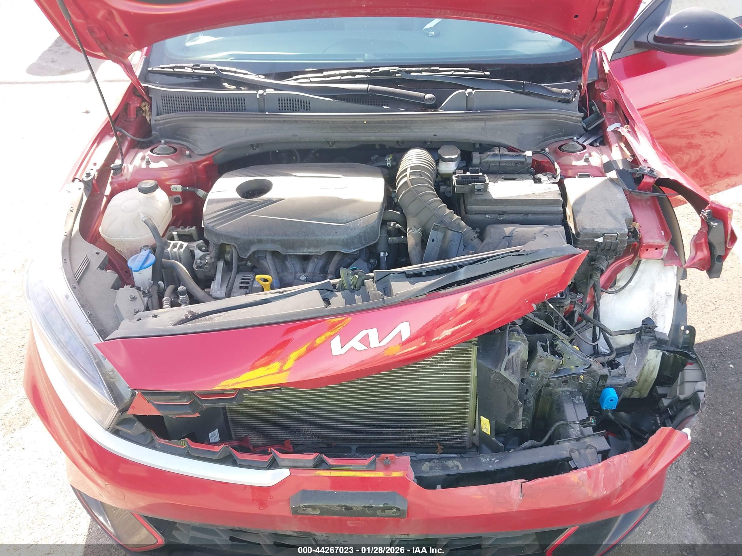 KIA FORTE image 10