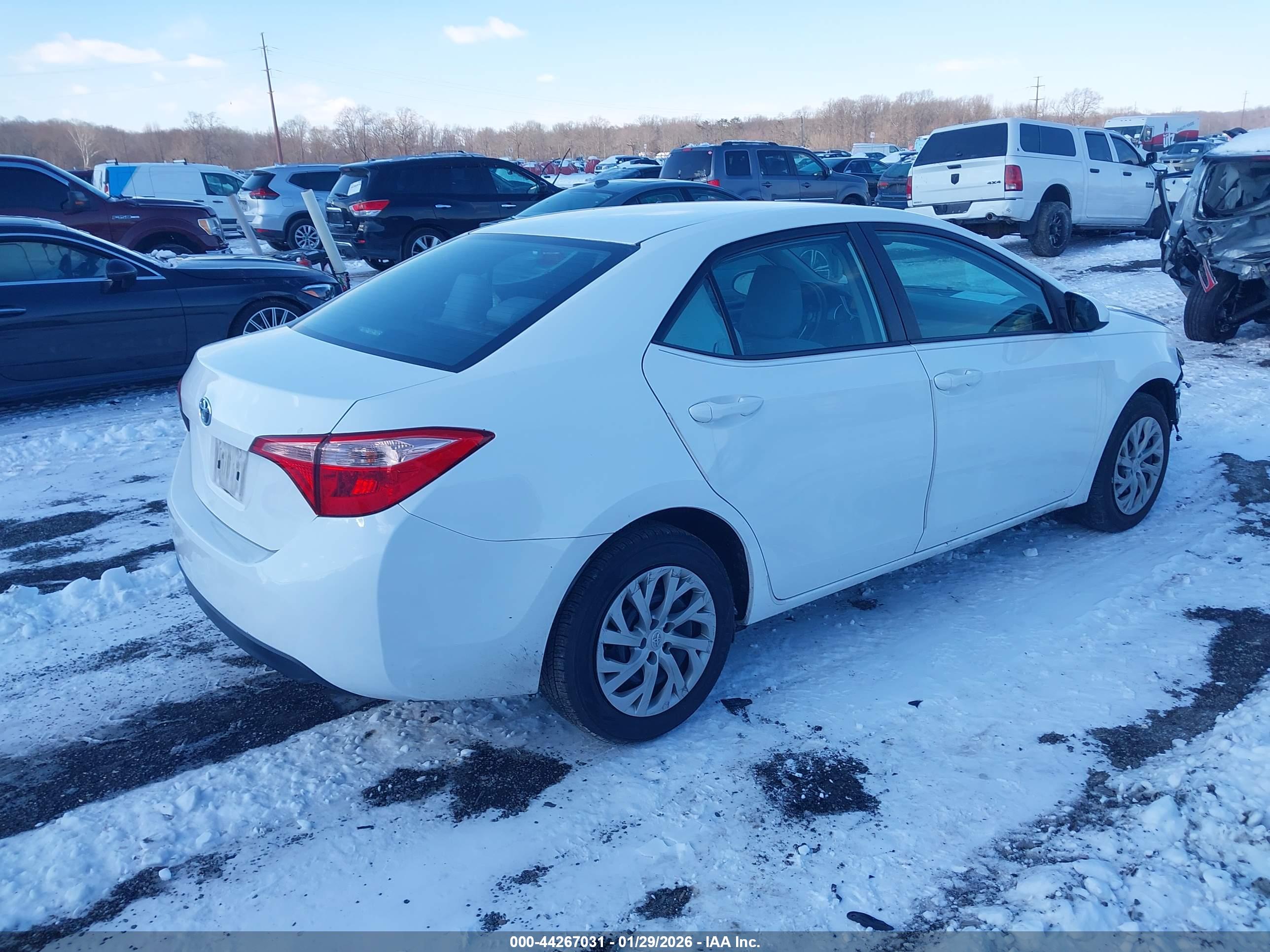 TOYOTA COROLLA image 4