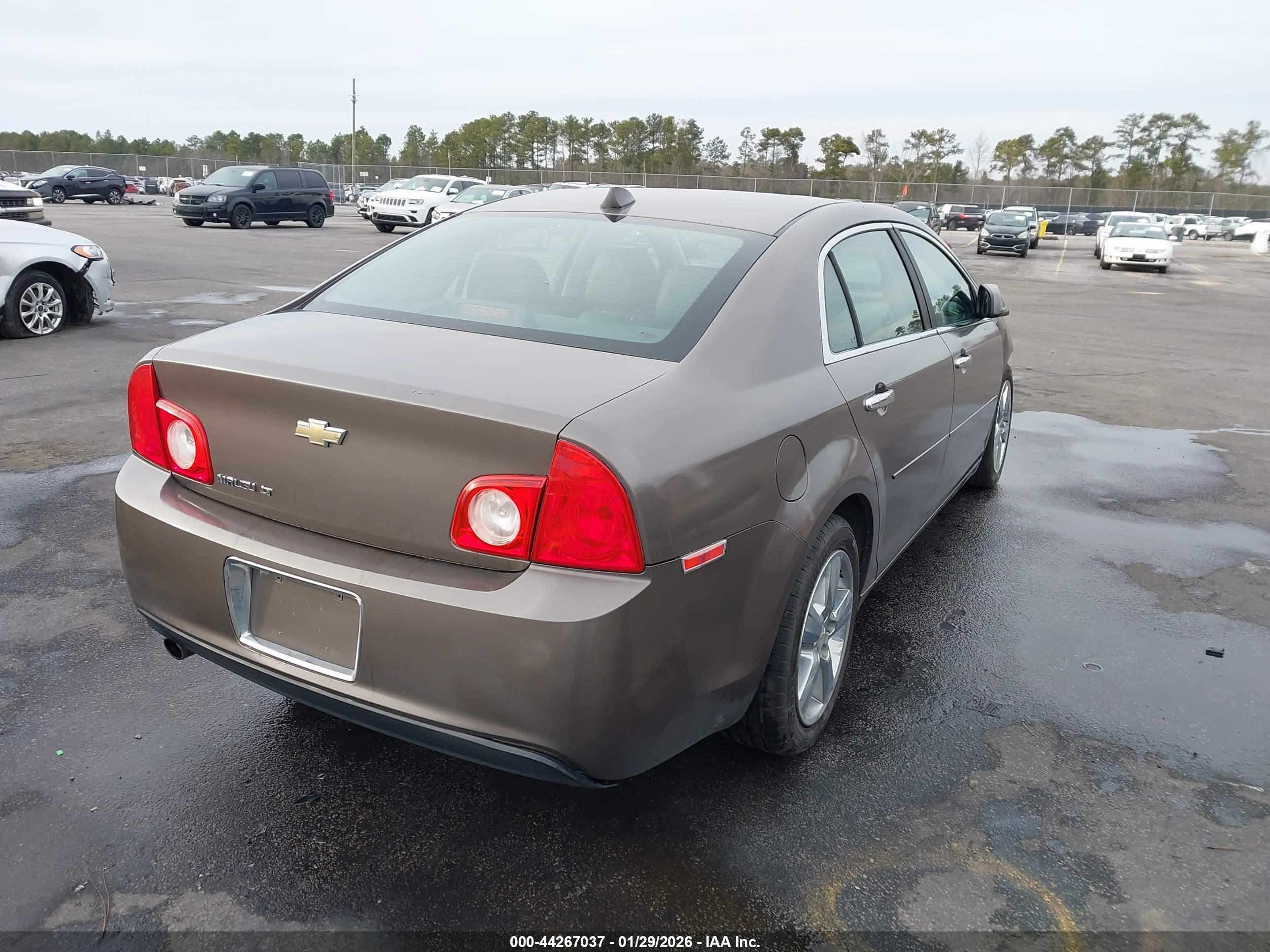 CHEVROLET MALIBU image 4
