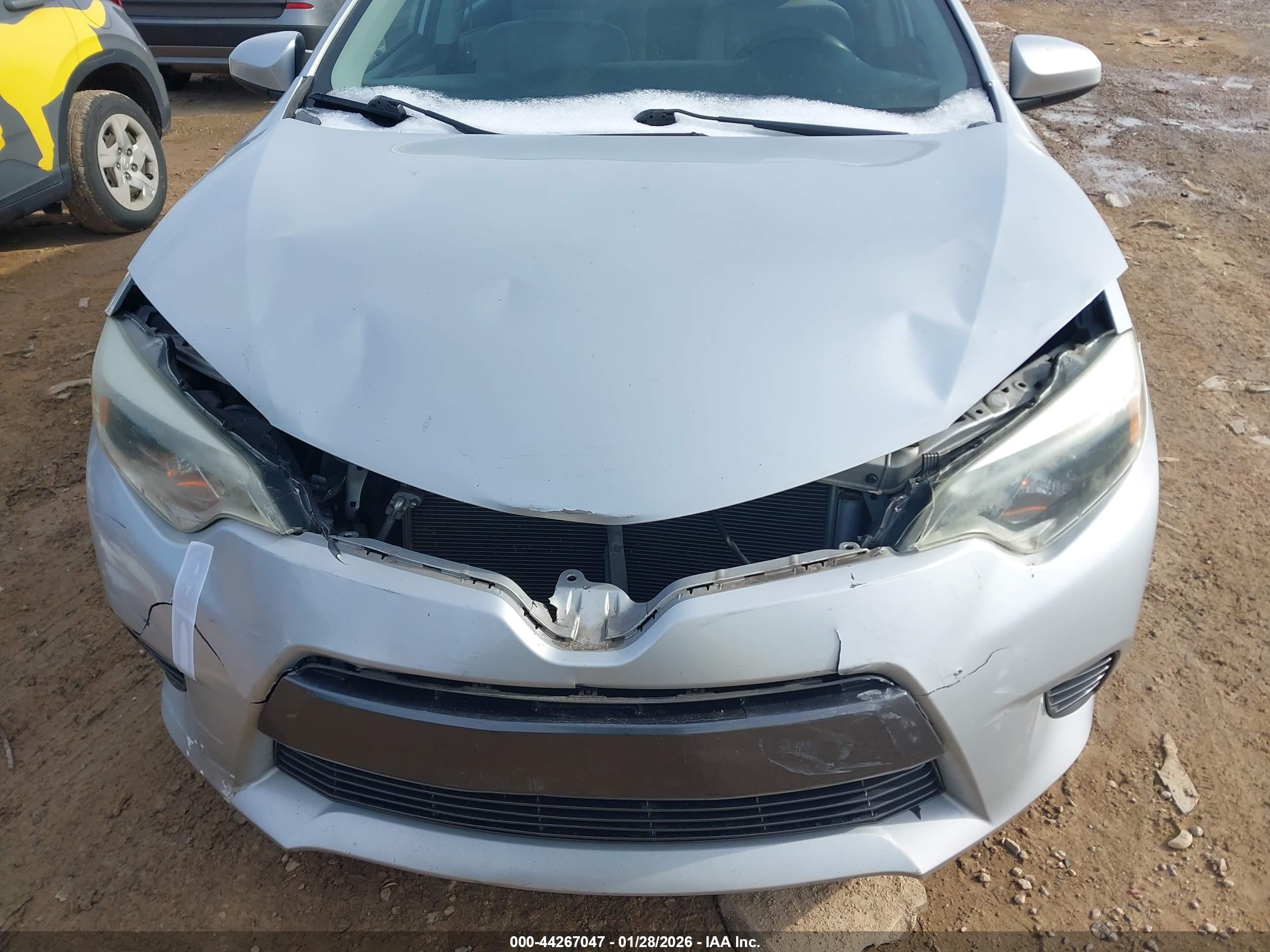 TOYOTA COROLLA image 6