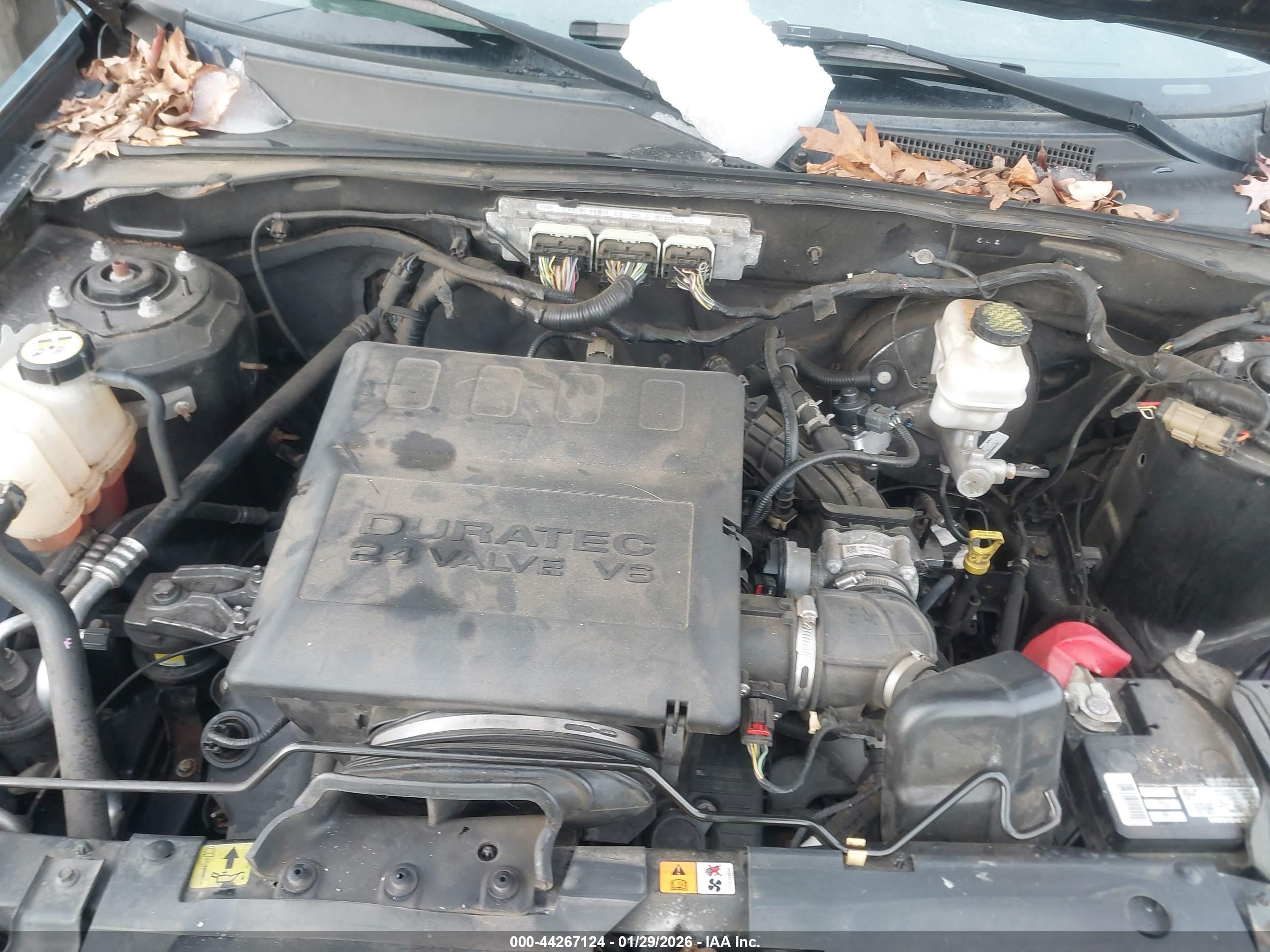 FORD ESCAPE image 10