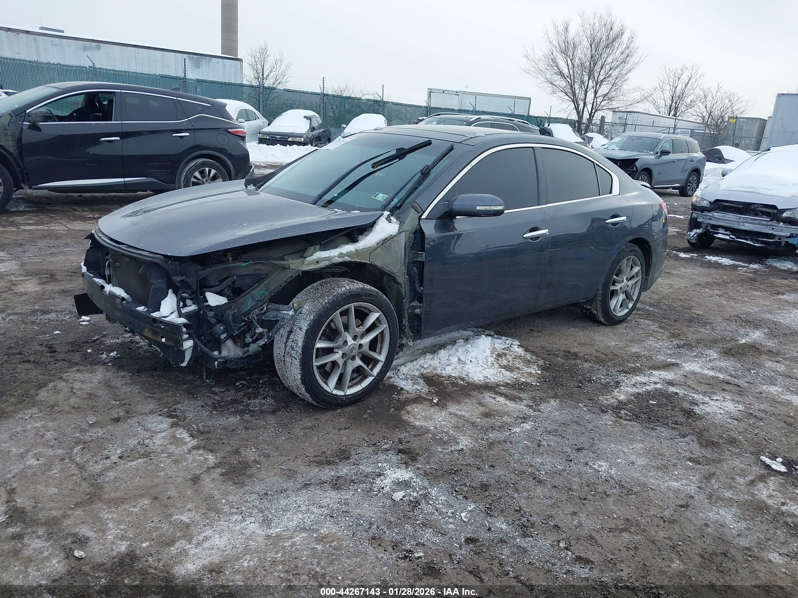 NISSAN MAXIMA image 2