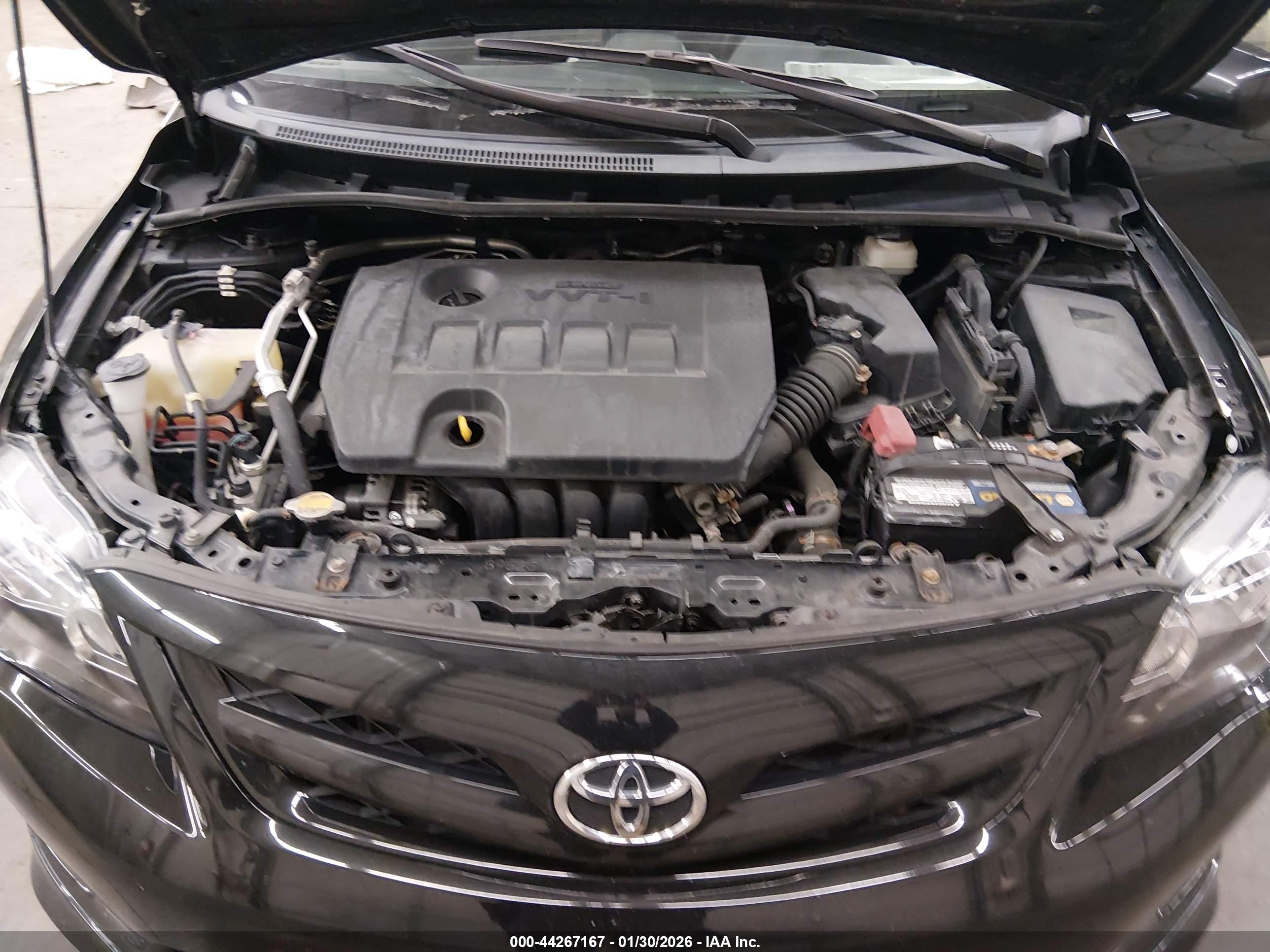 TOYOTA COROLLA image 10