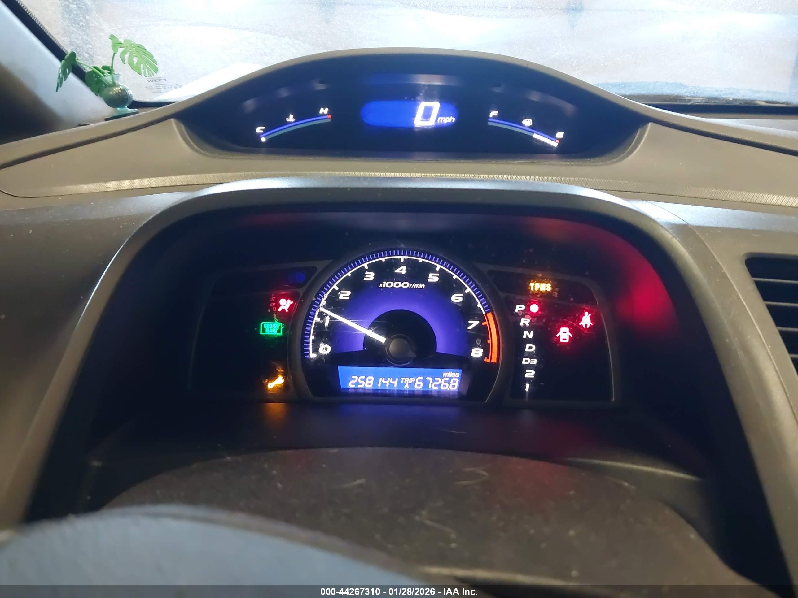 HONDA CIVIC image 7