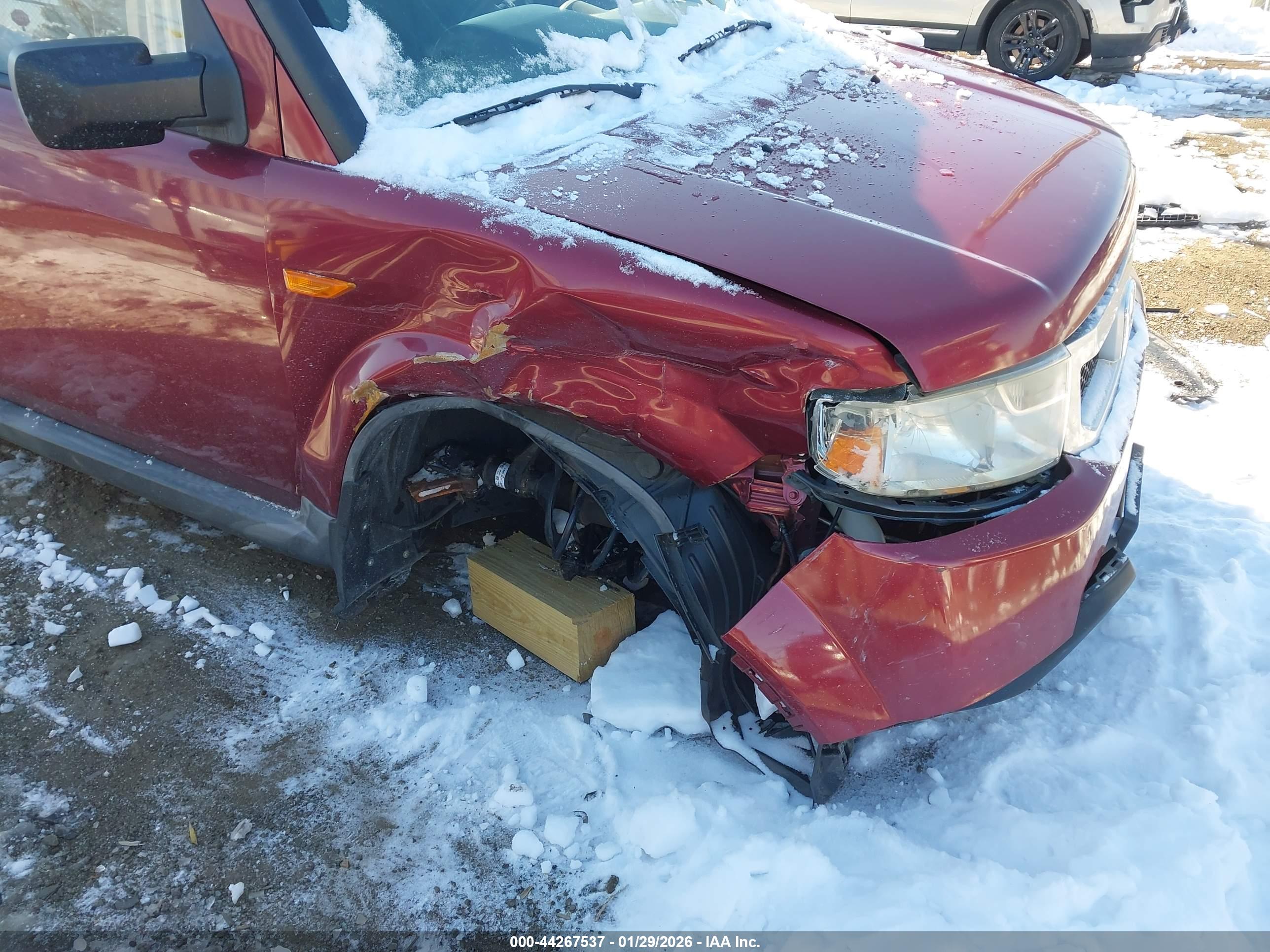 HONDA ELEMENT image 6