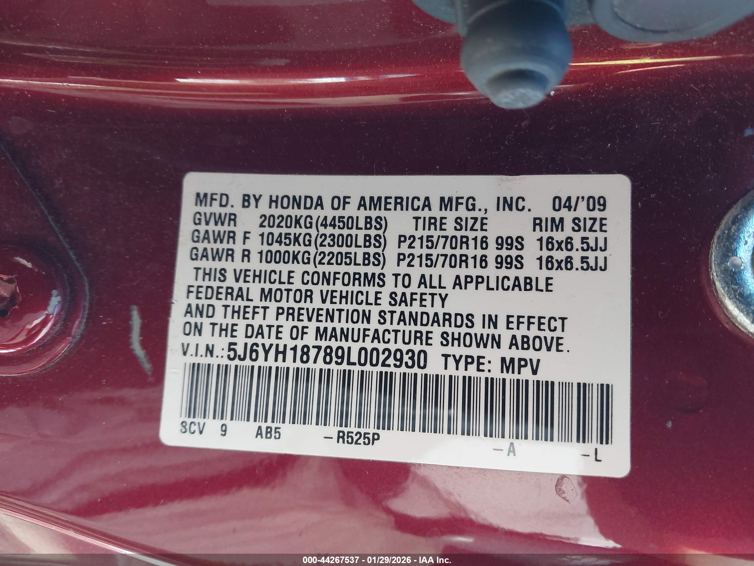 HONDA ELEMENT image 9