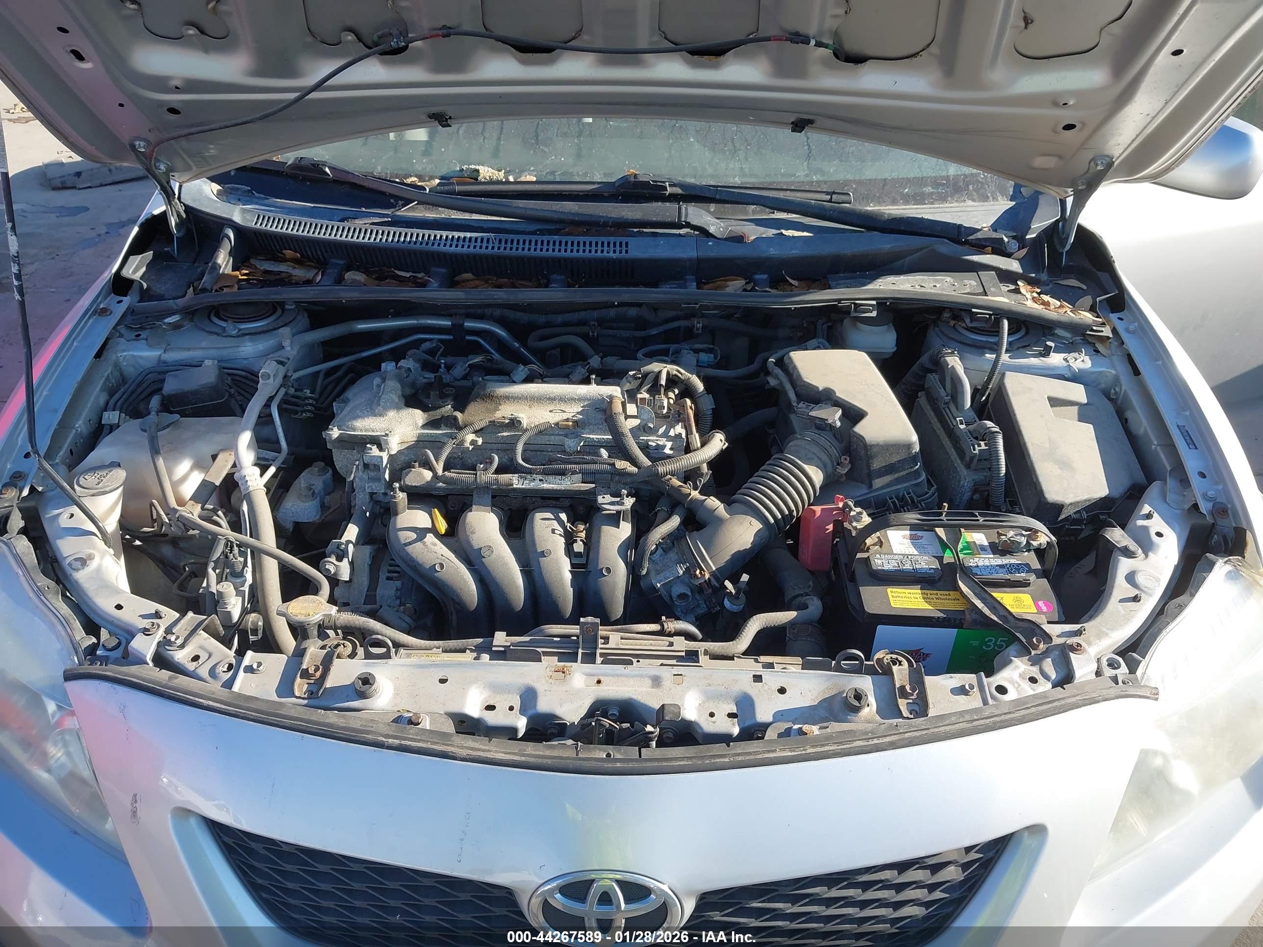 TOYOTA COROLLA image 10