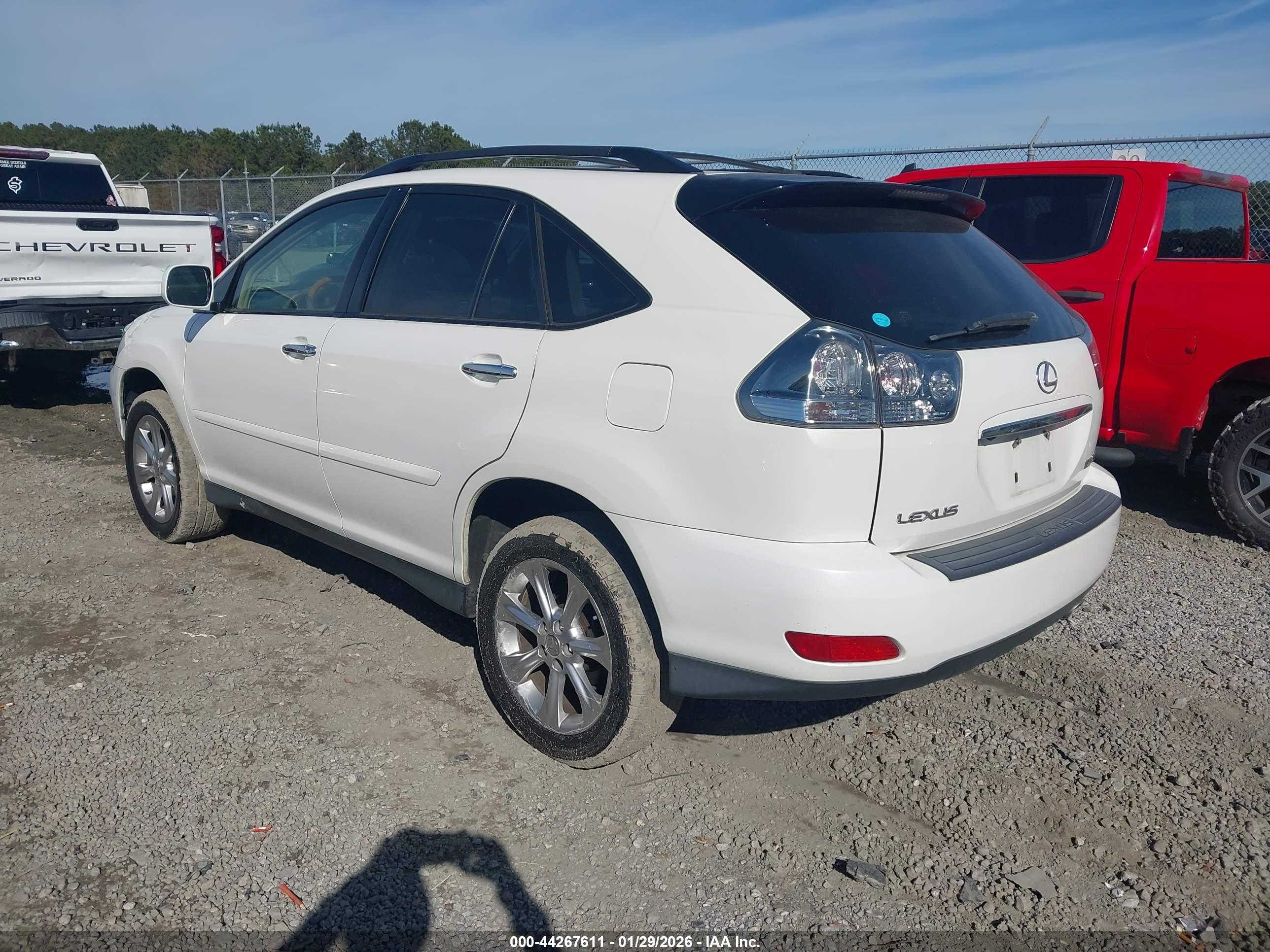 LEXUS RX image 3