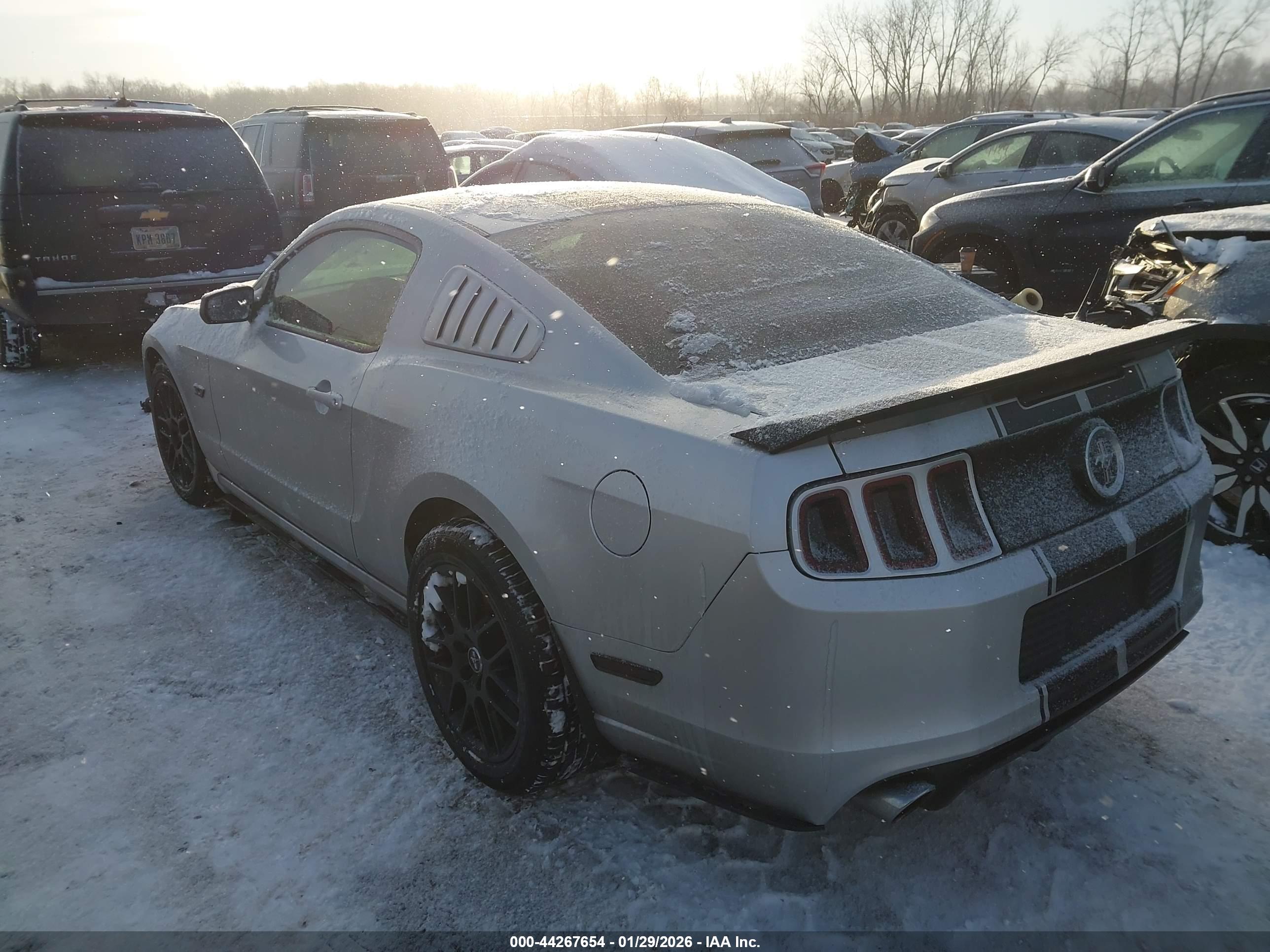 FORD MUSTANG image 3