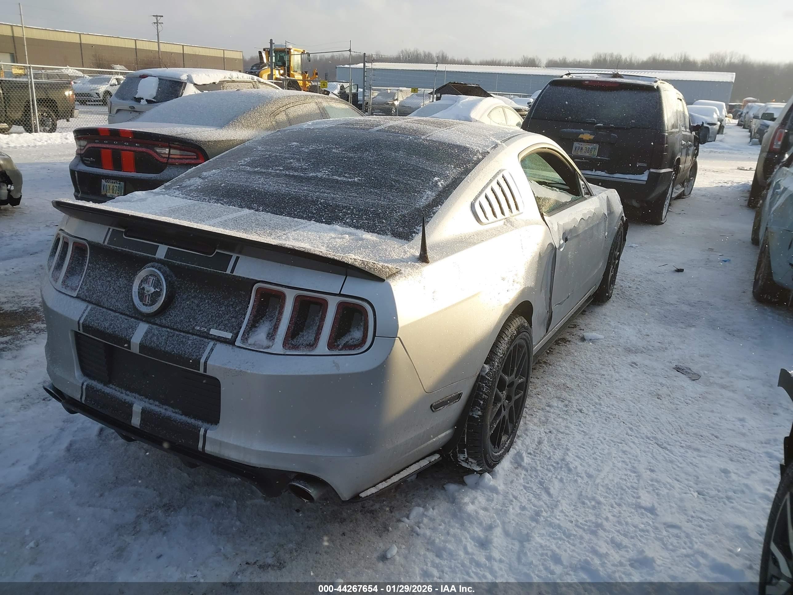 FORD MUSTANG image 4