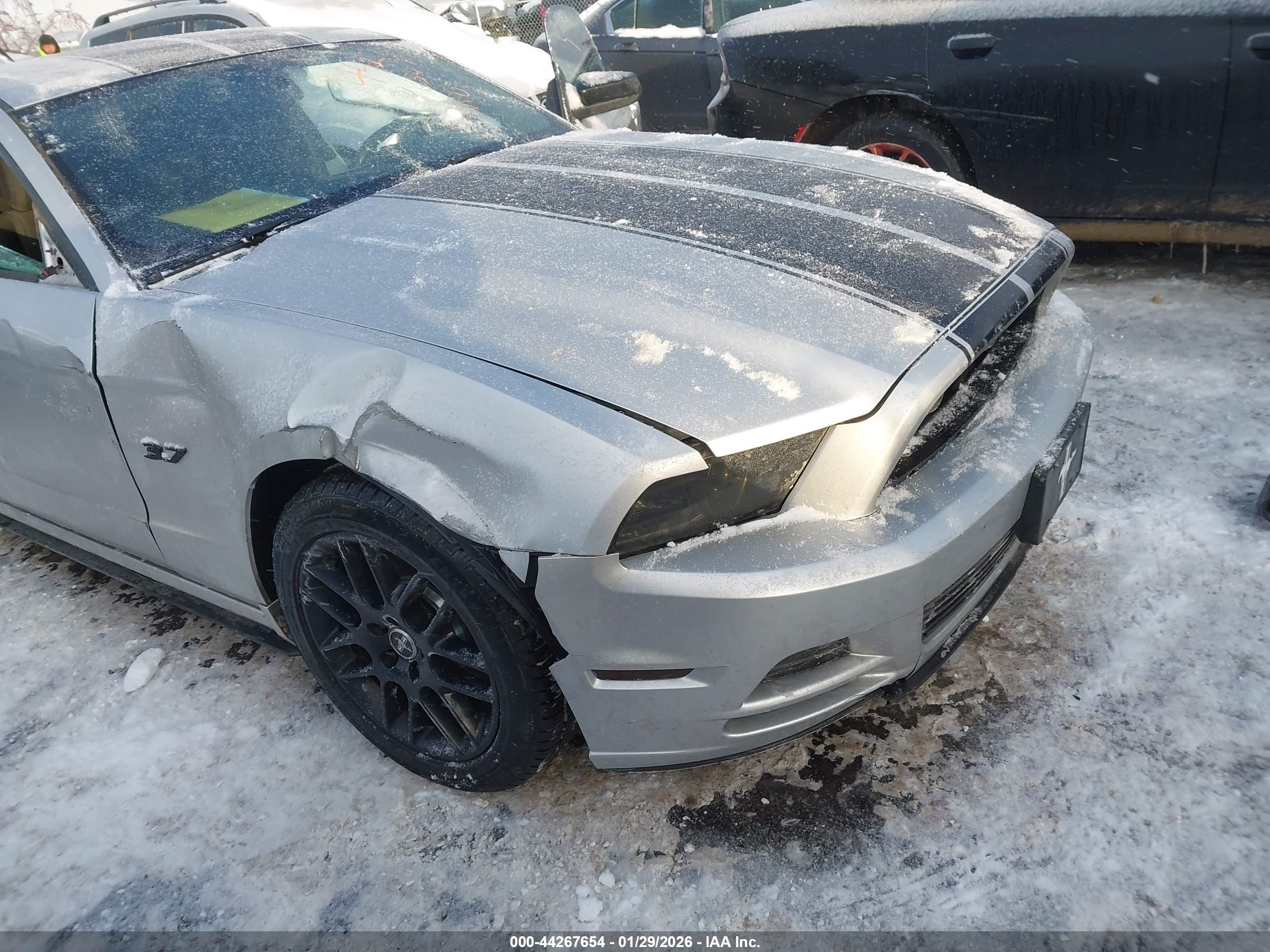 FORD MUSTANG image 6