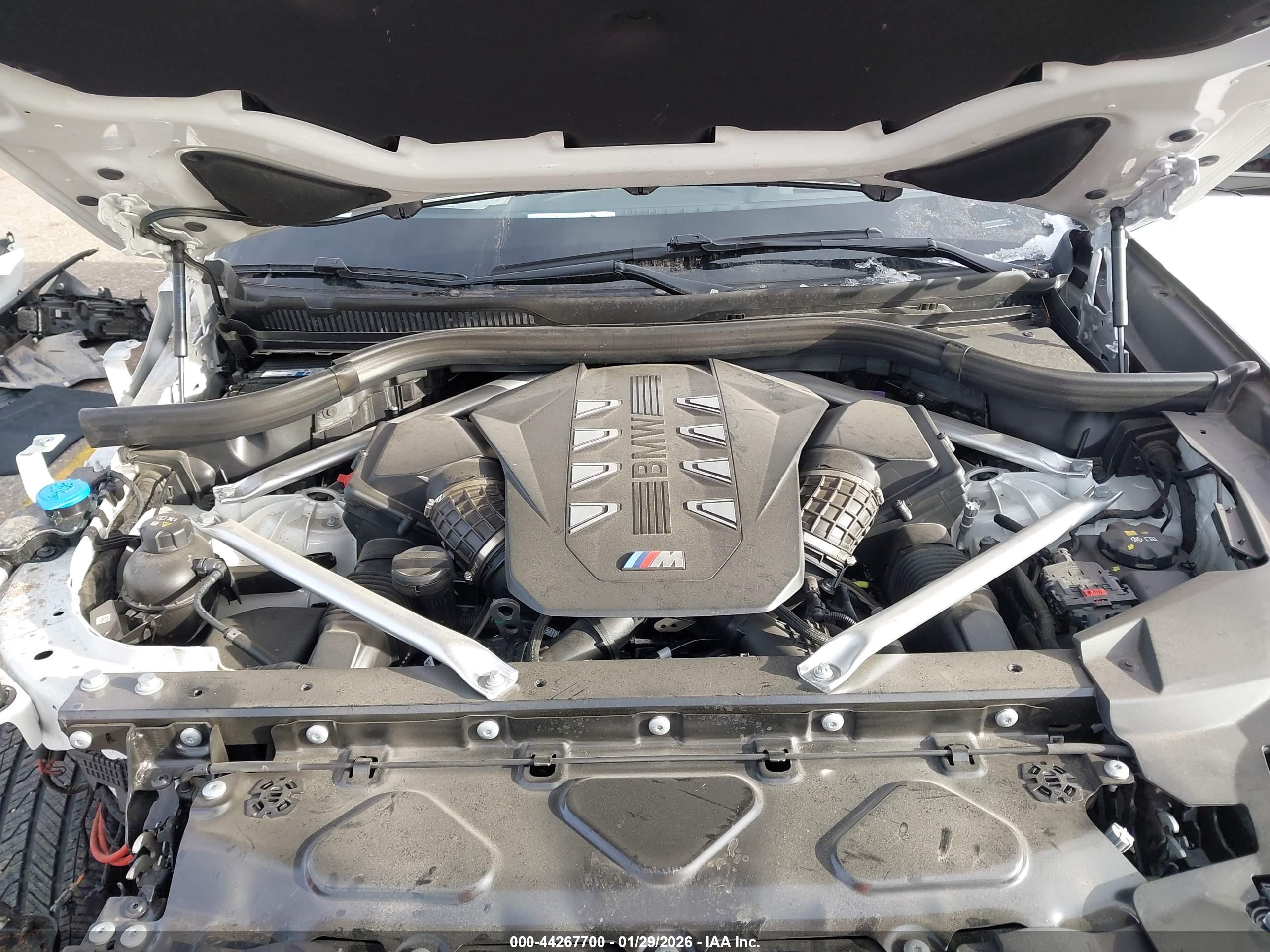BMW X6 image 10