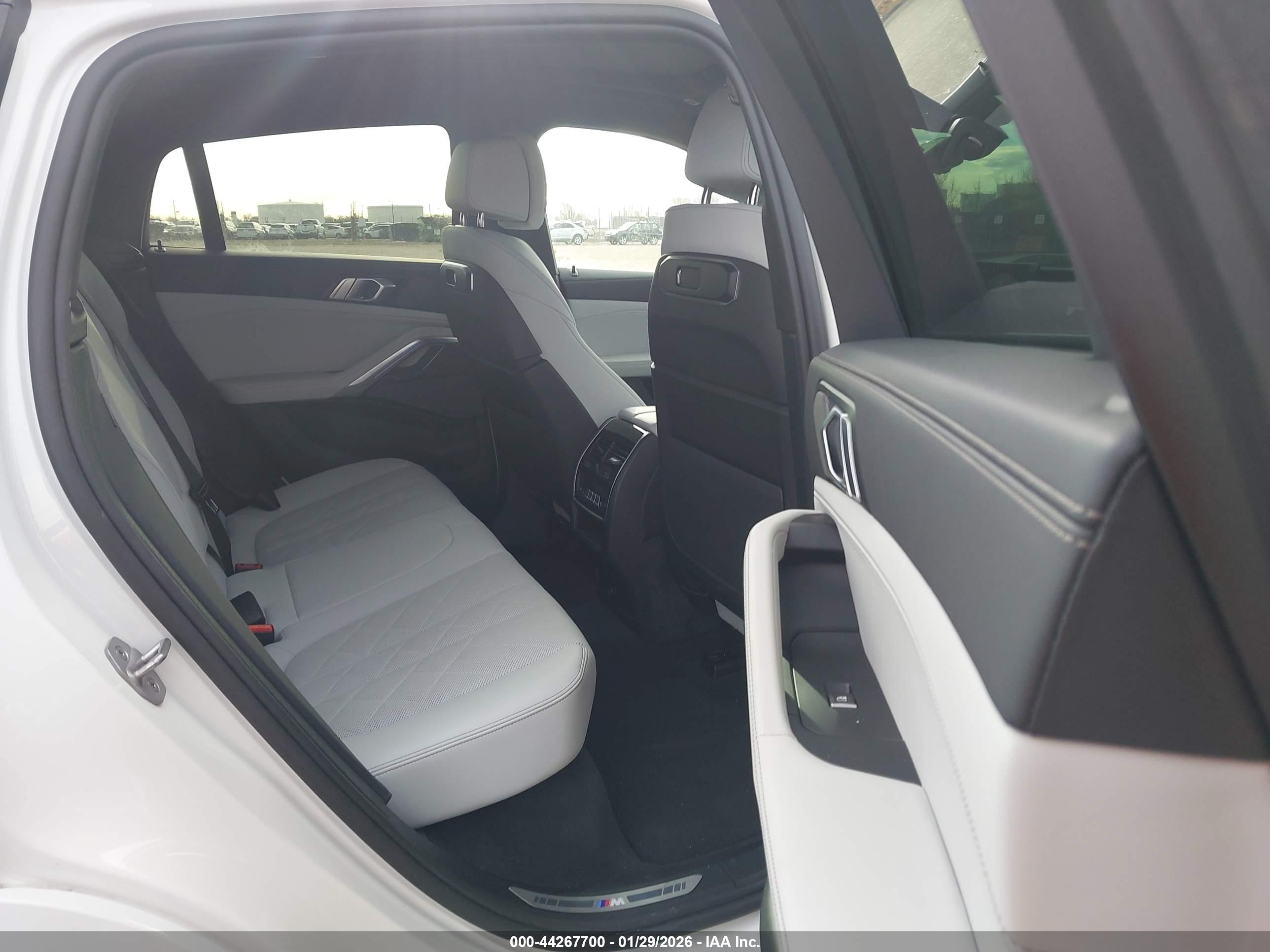 BMW X6 image 8