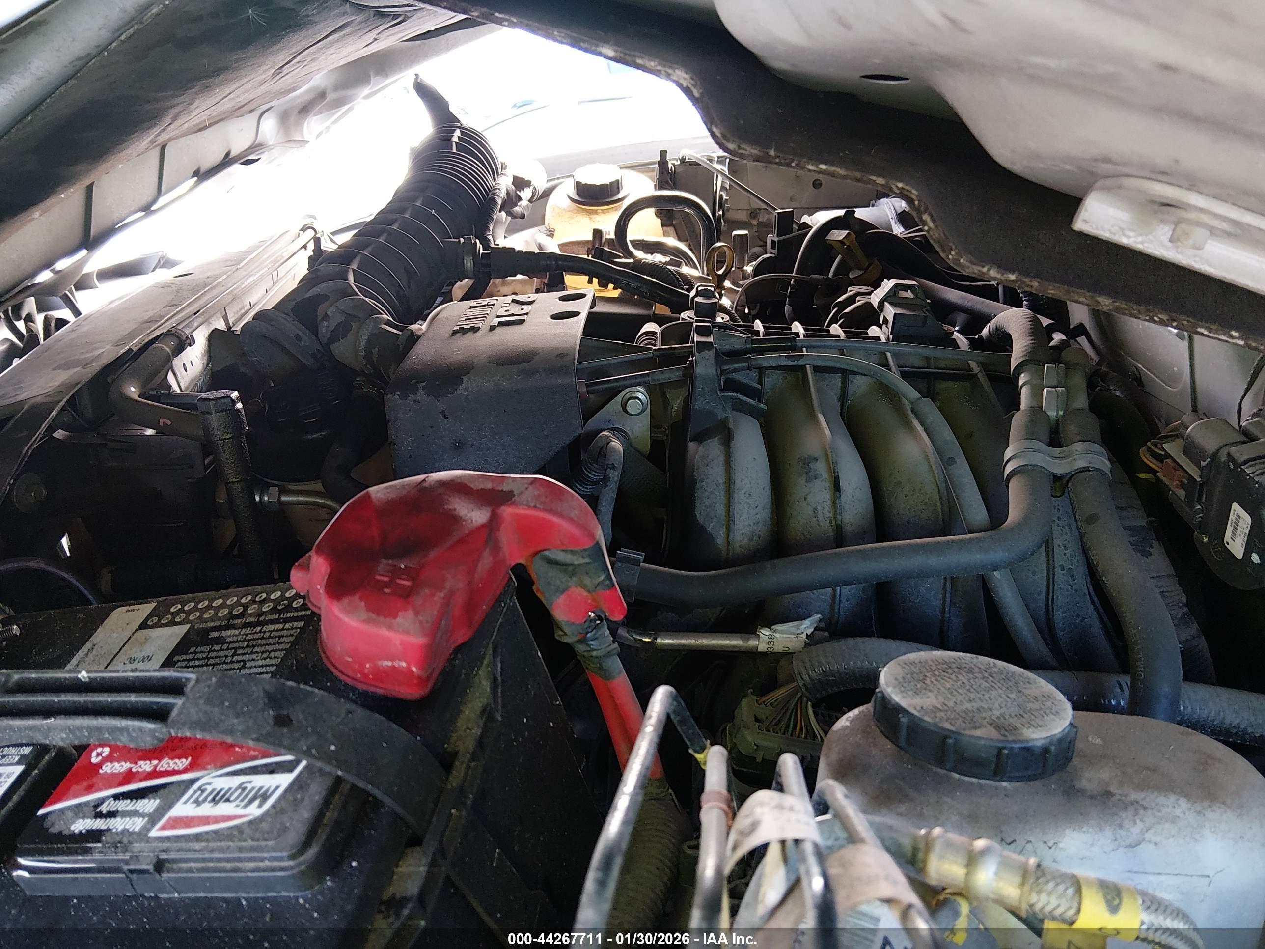 FORD RANGER image 10