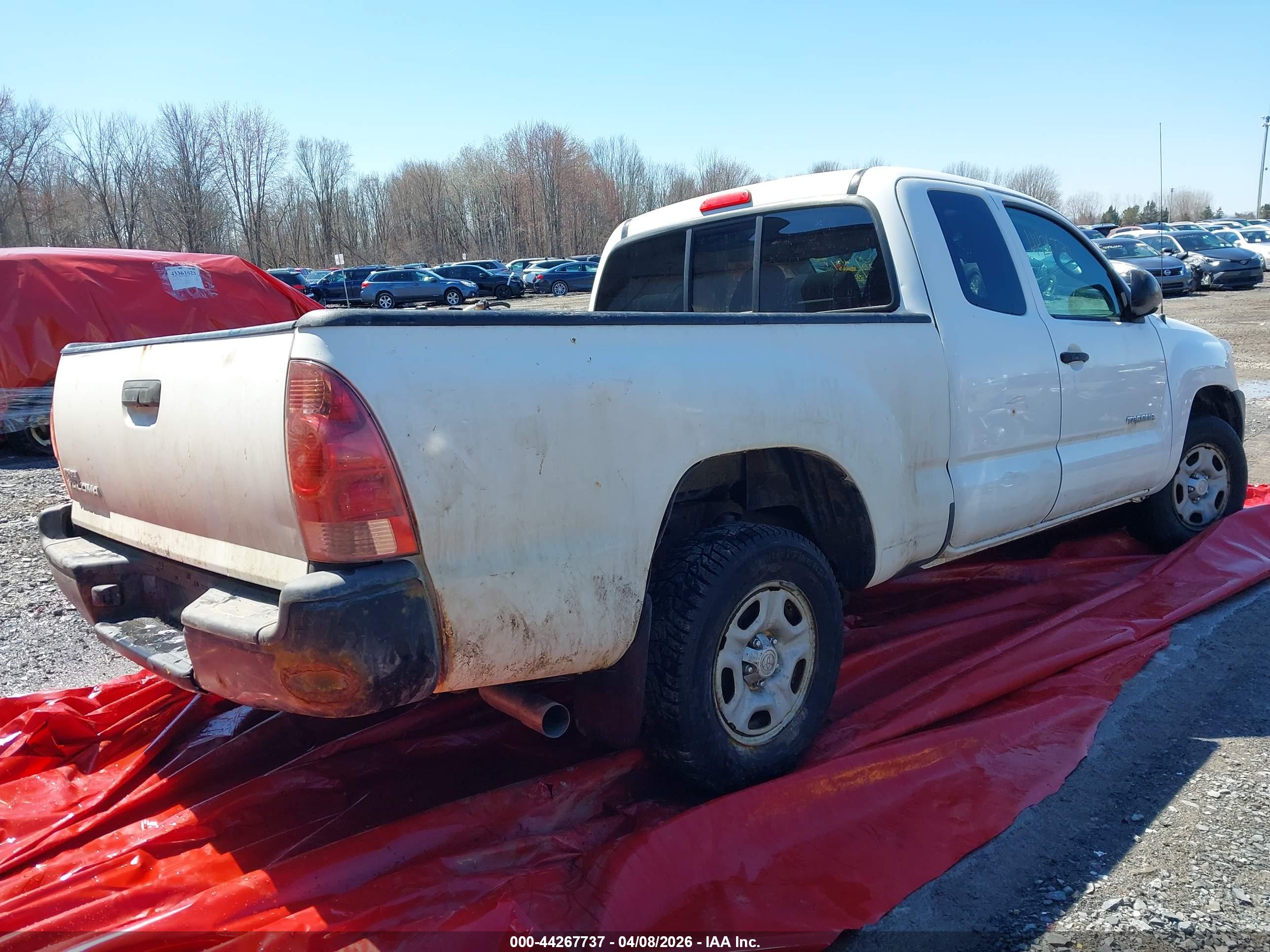TOYOTA TACOMA image 4