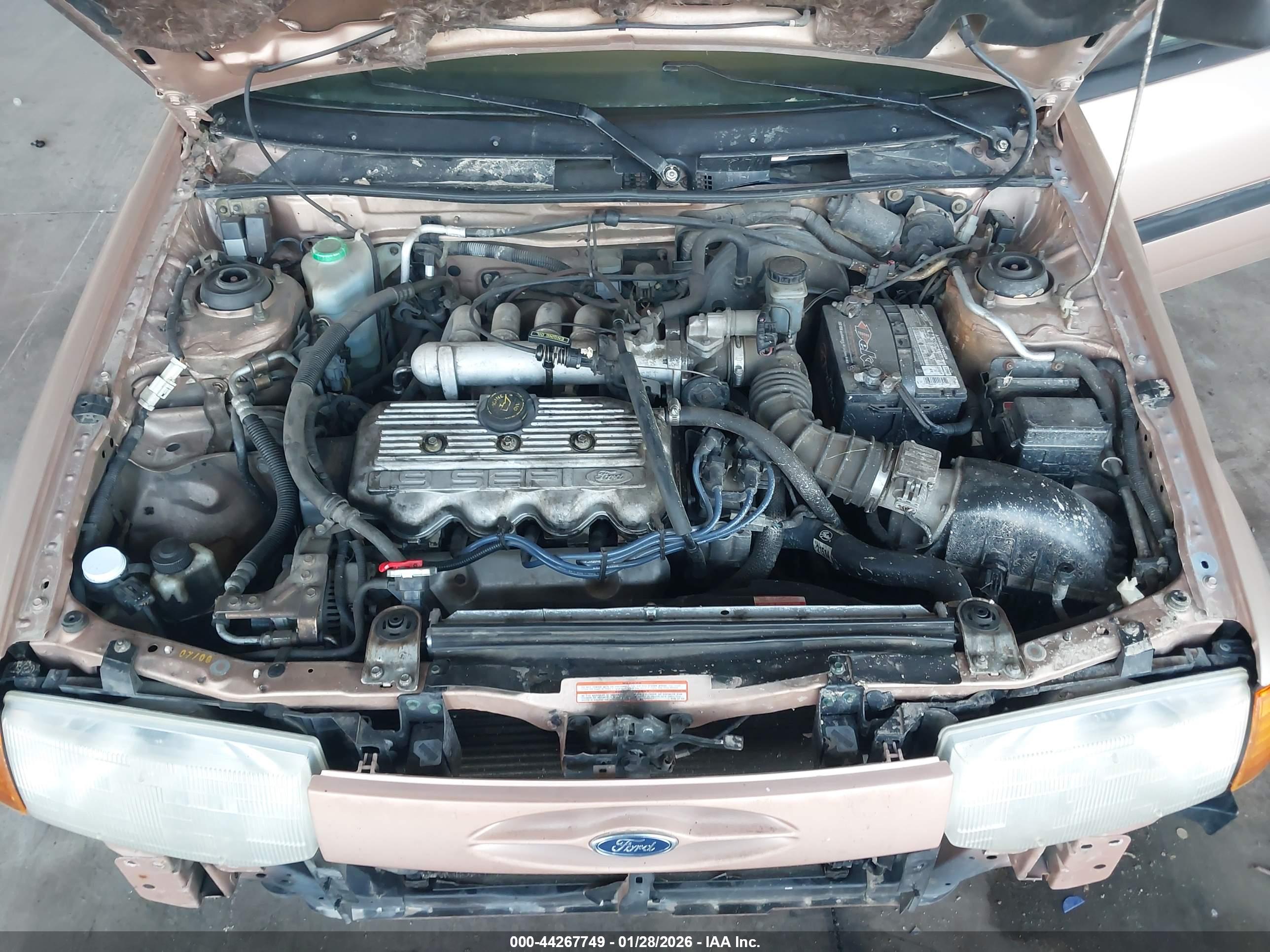 FORD ESCORT image 10