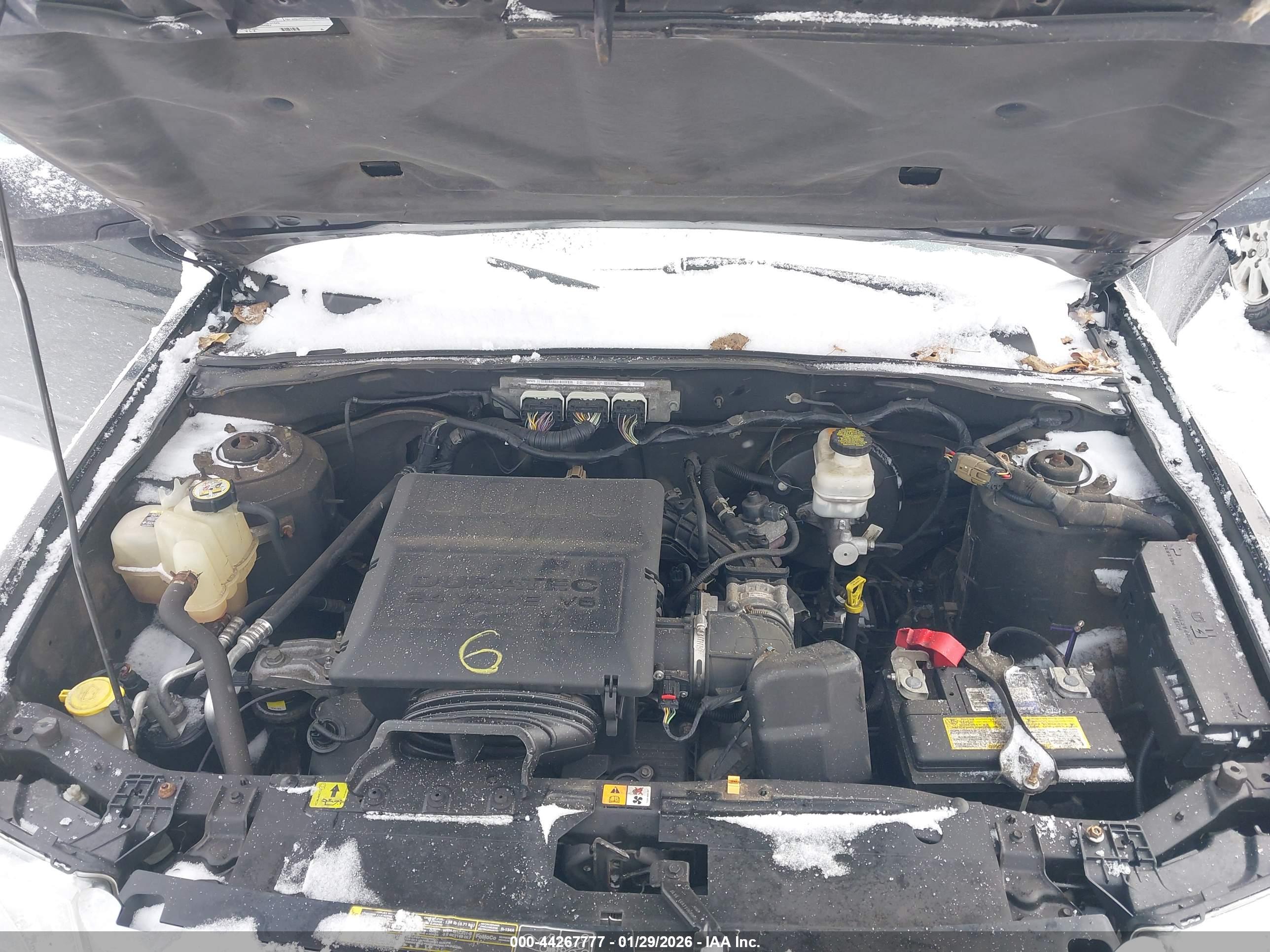 FORD ESCAPE image 10