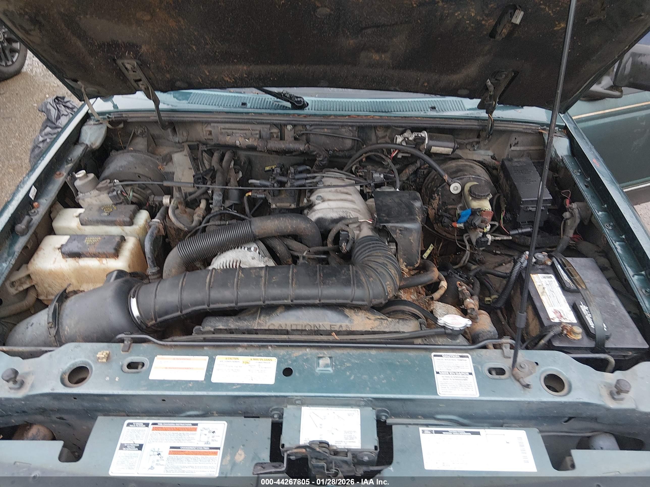 FORD RANGER image 10