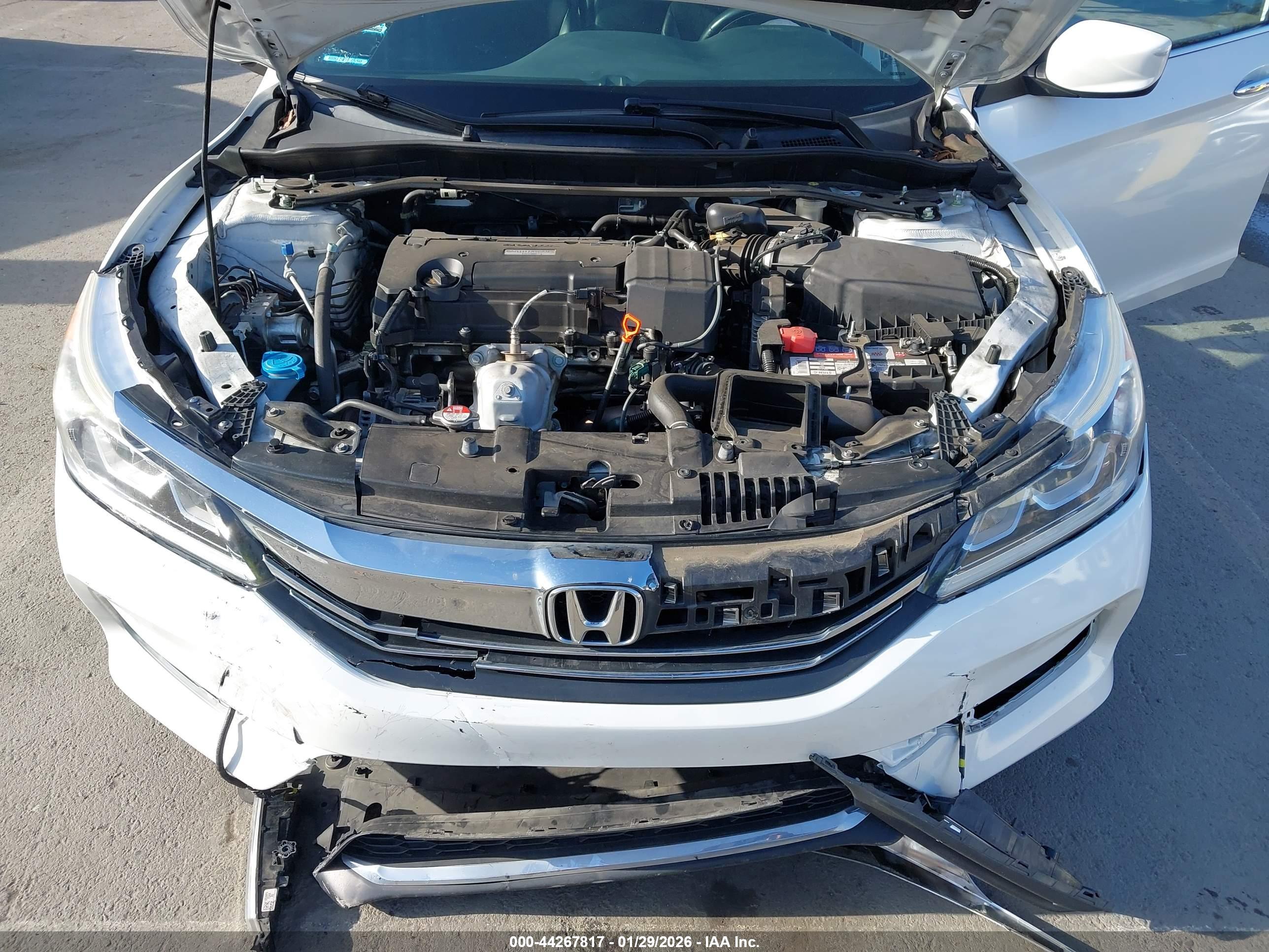 HONDA ACCORD image 10