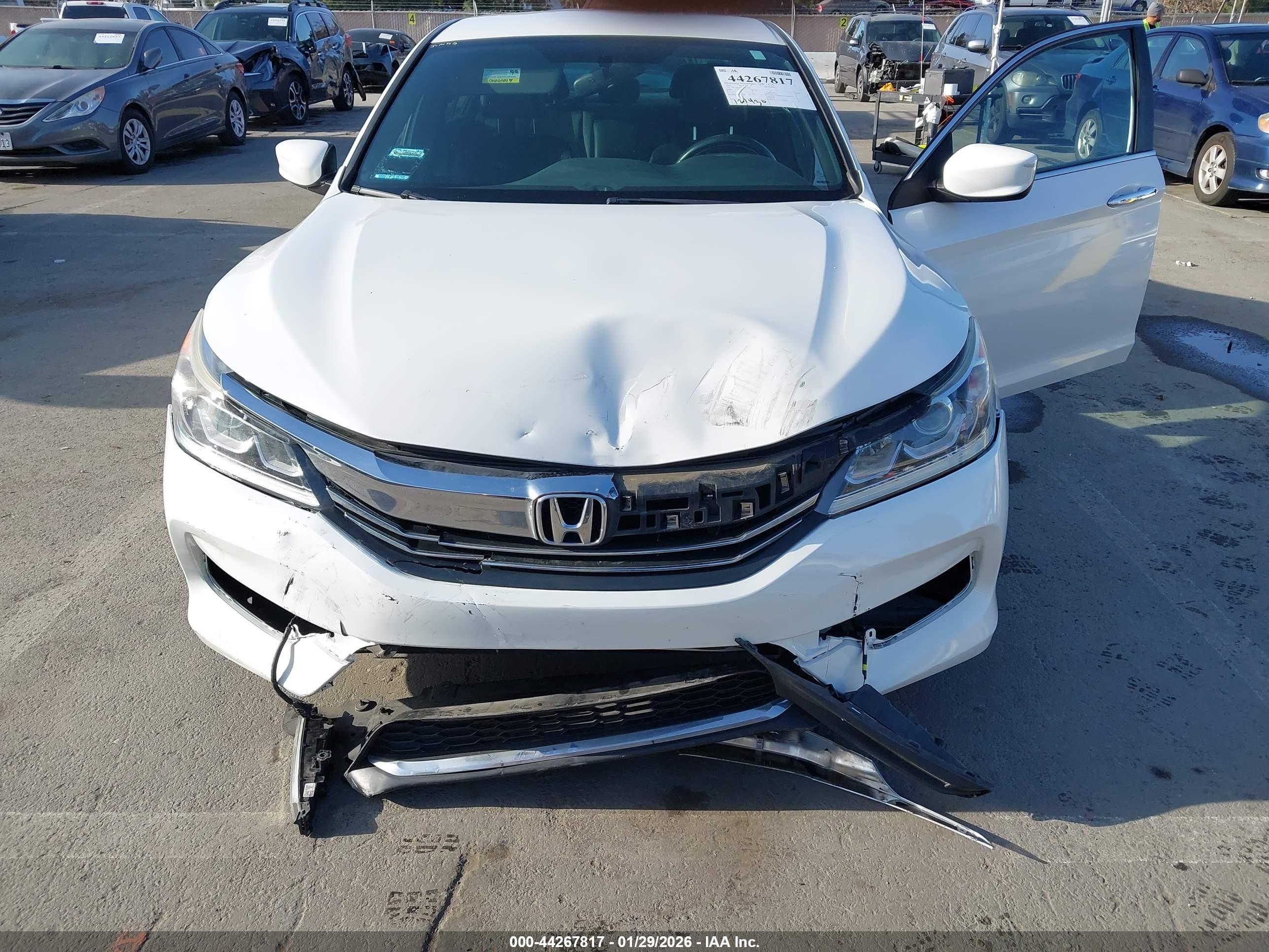 HONDA ACCORD image 6