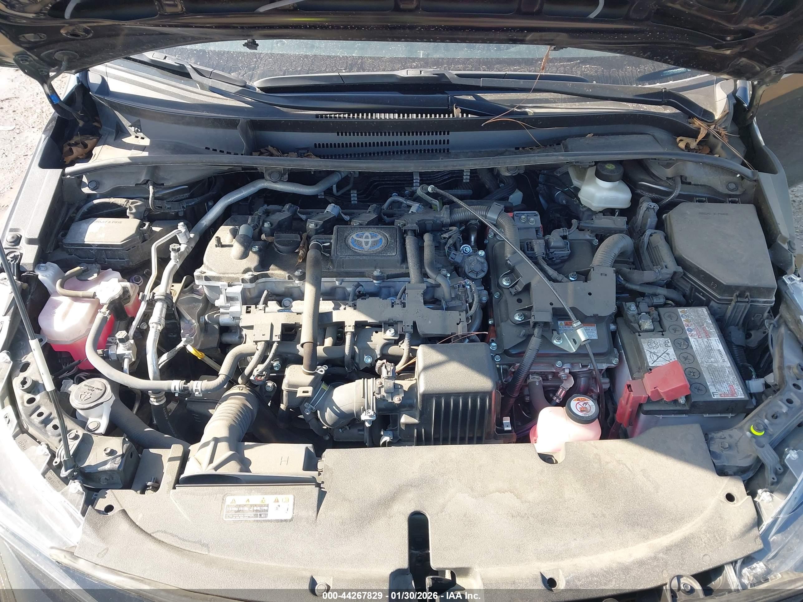 TOYOTA COROLLA image 10