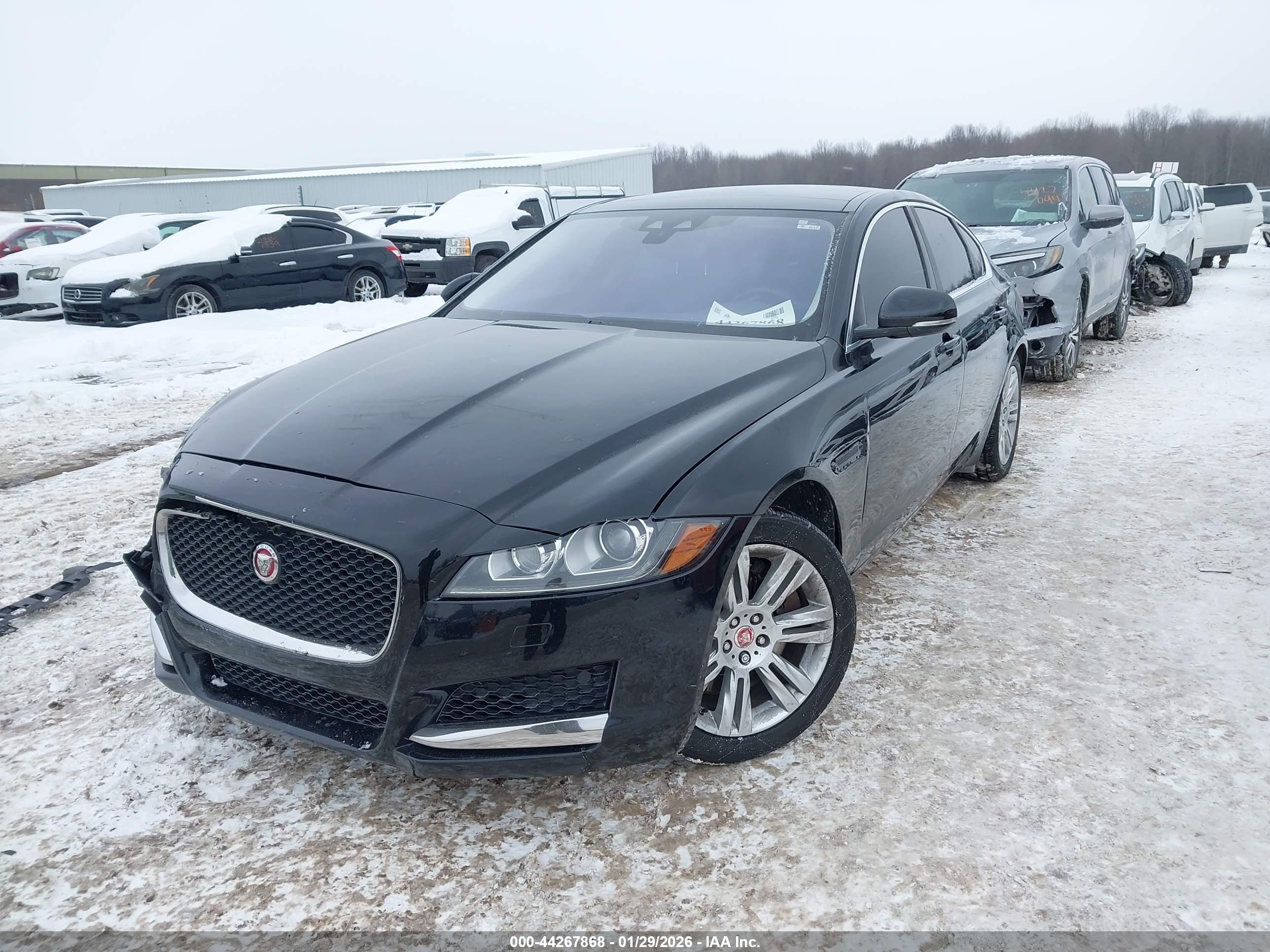 JAGUAR XF image 2