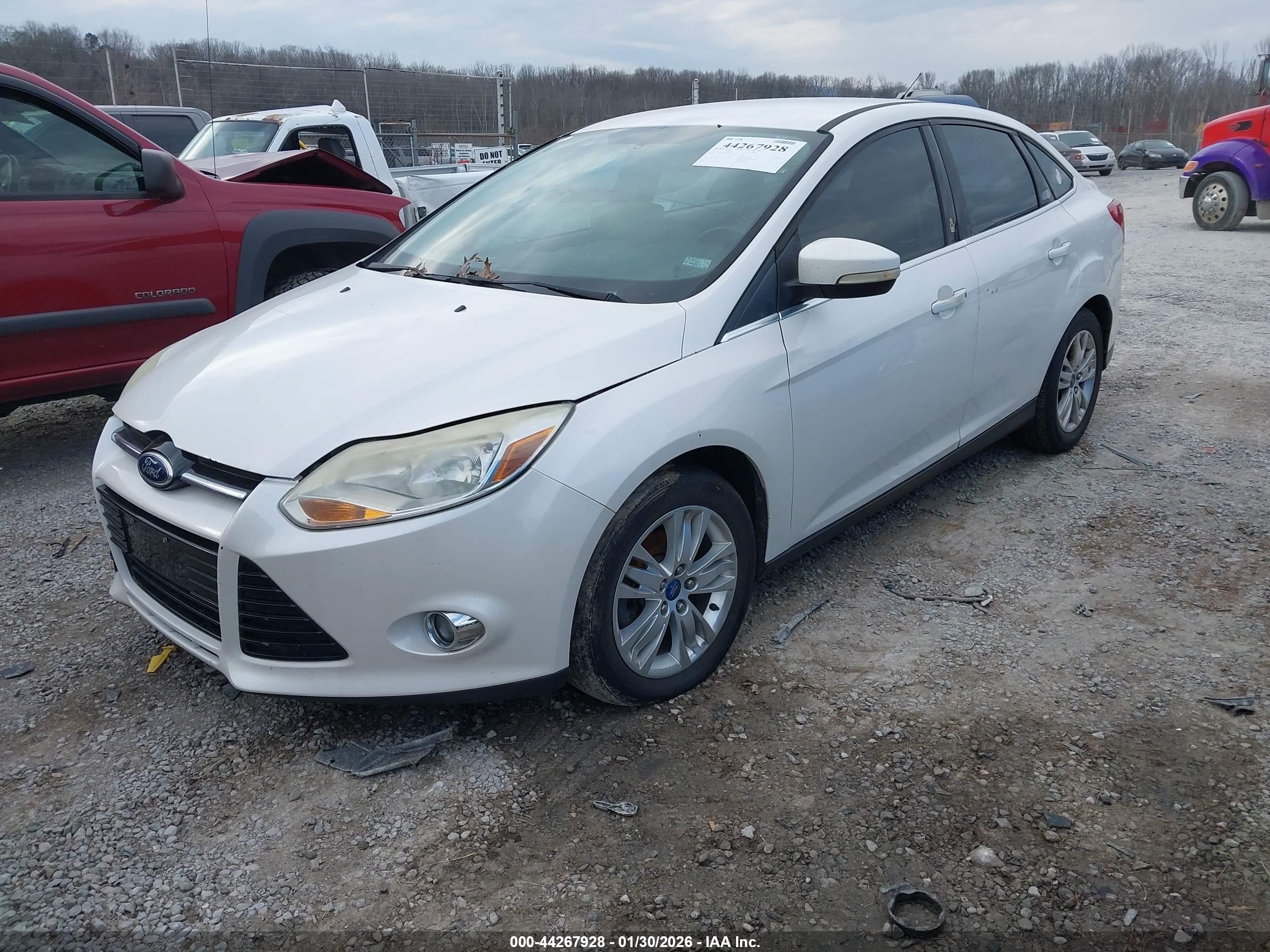 FORD FOCUS image 2