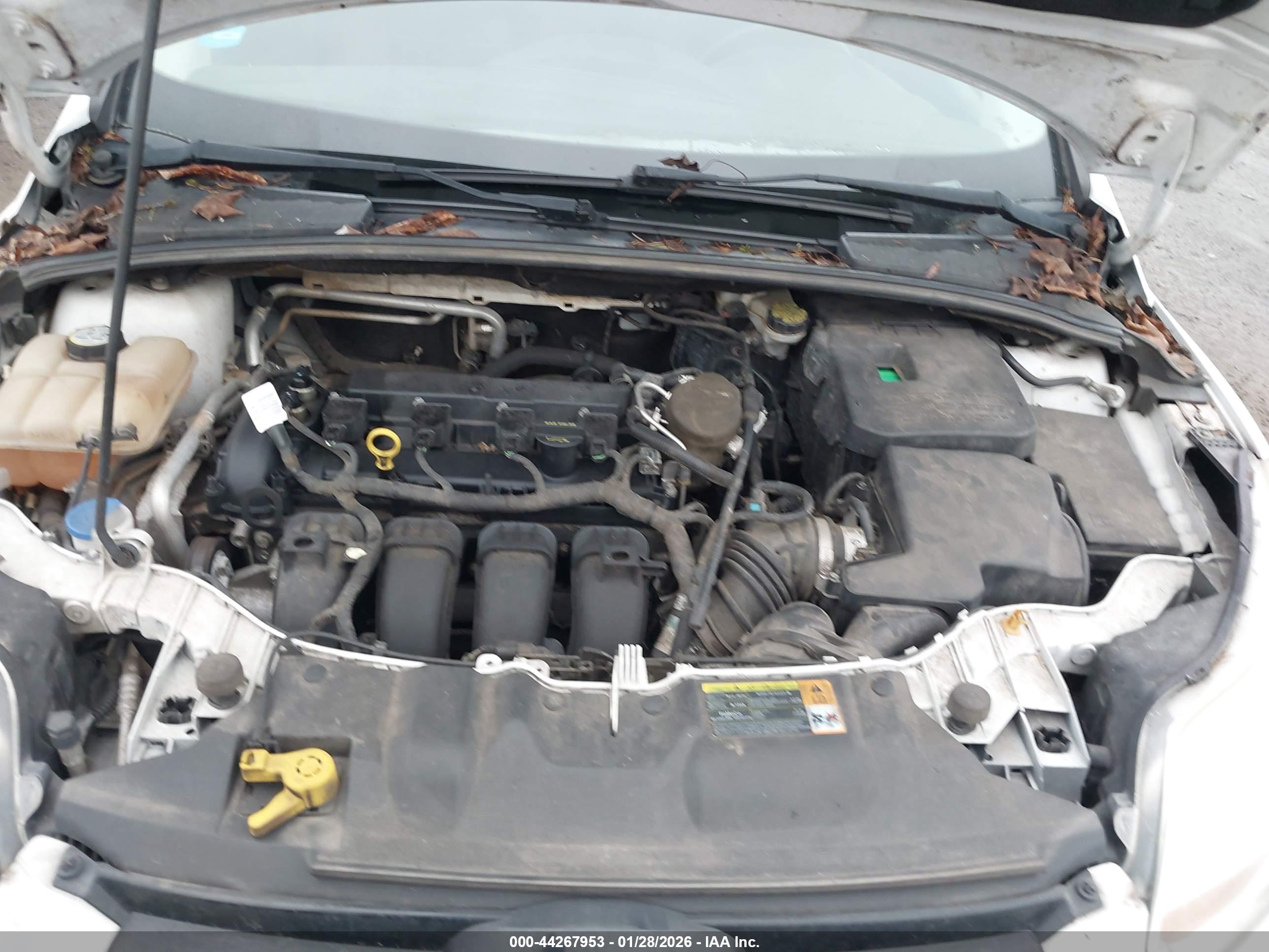 FORD FOCUS image 10