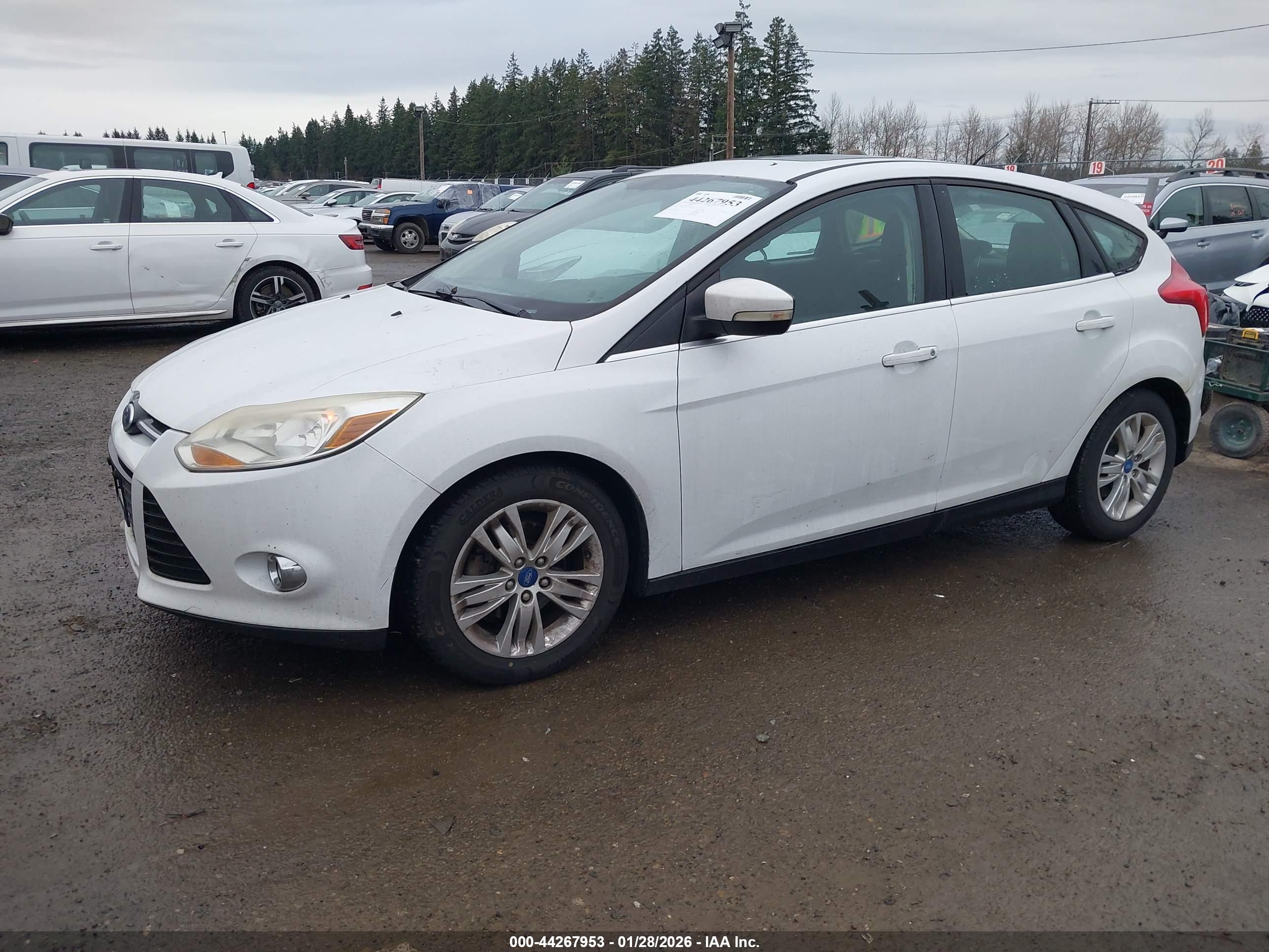 FORD FOCUS image 2