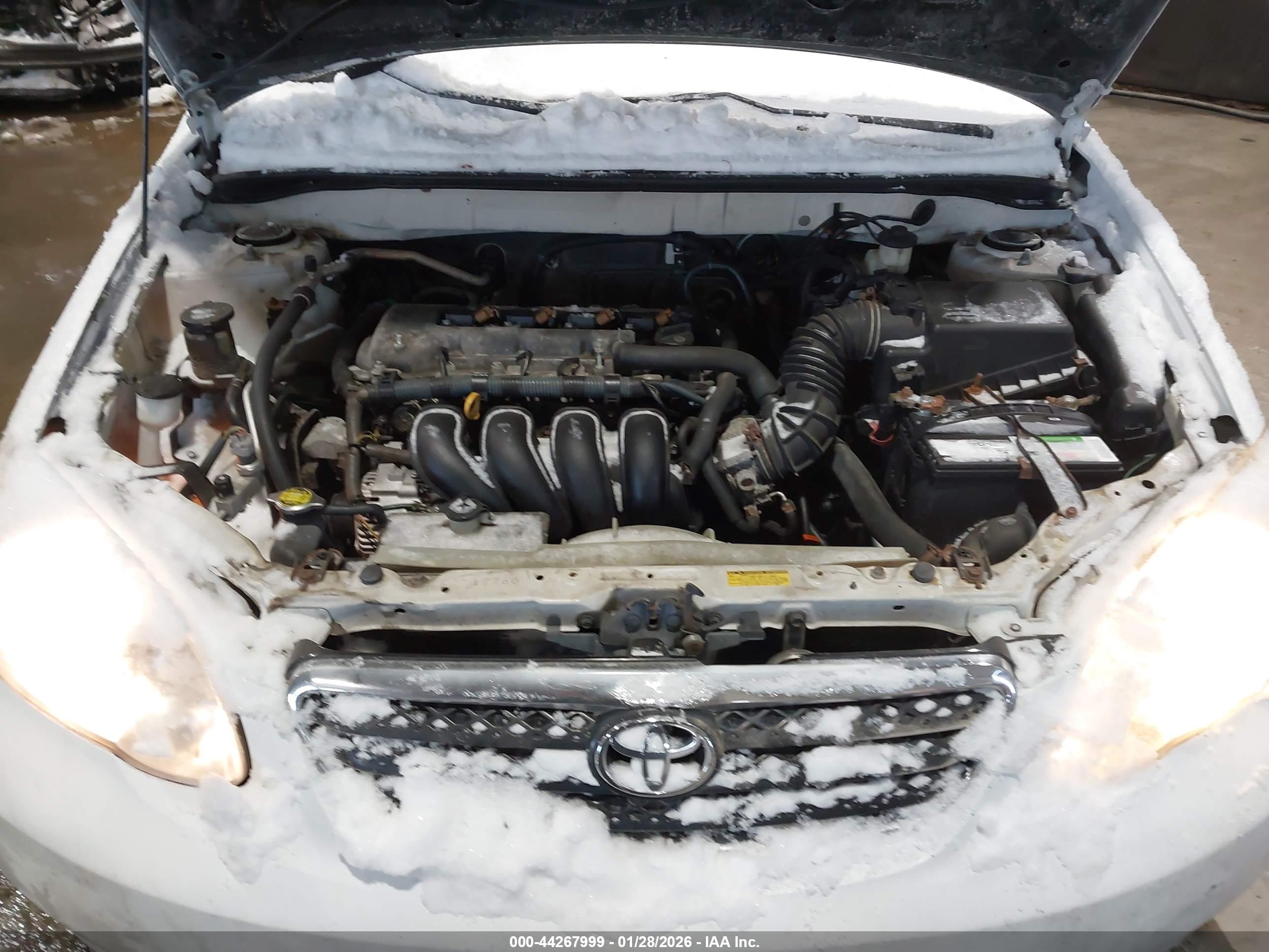 TOYOTA COROLLA image 10