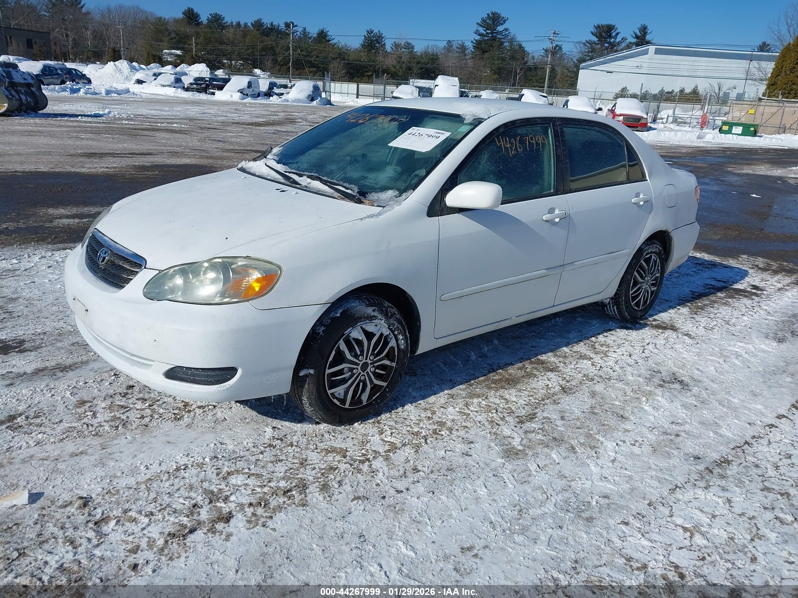 TOYOTA COROLLA image 2