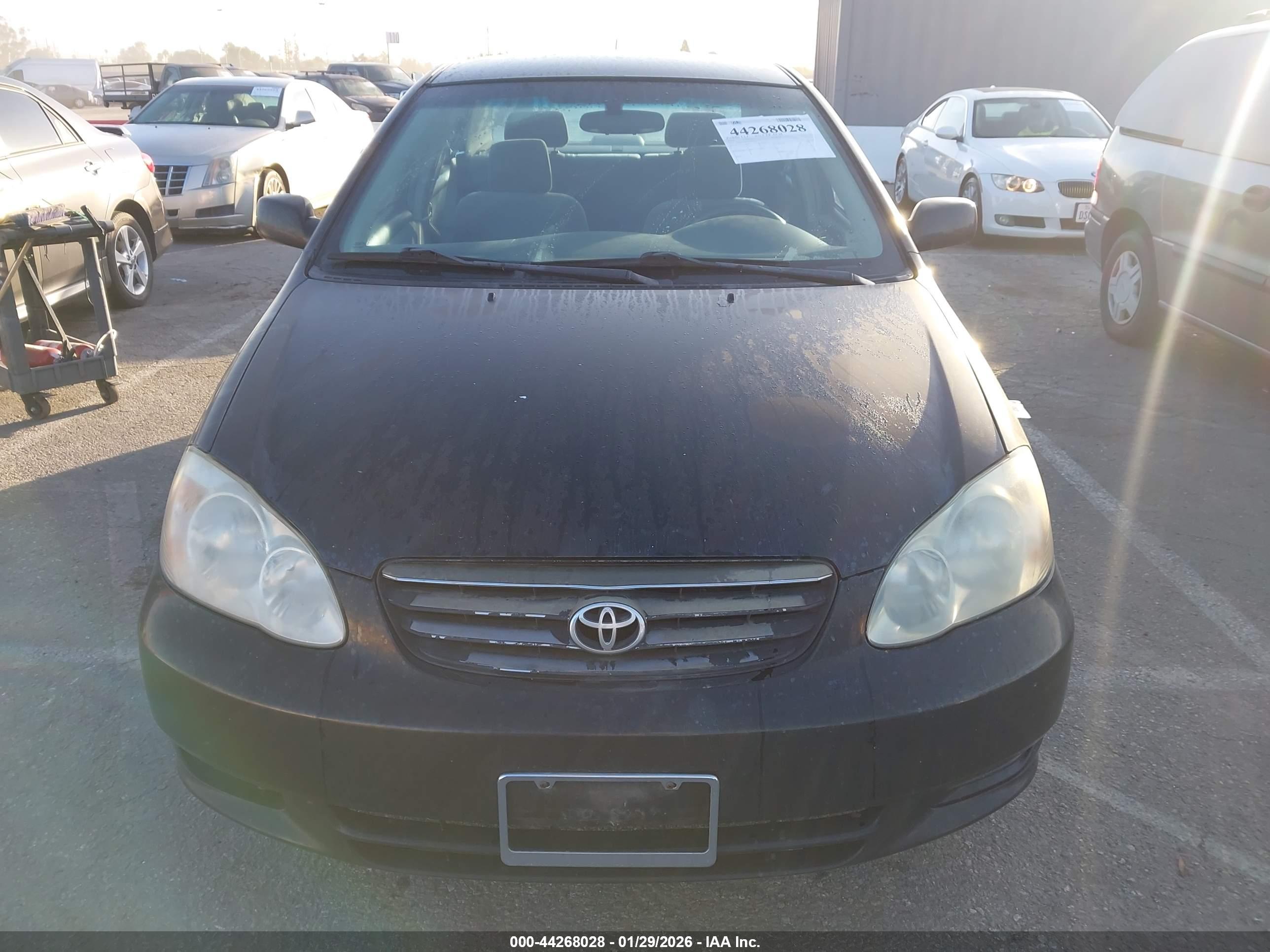 TOYOTA COROLLA image 6