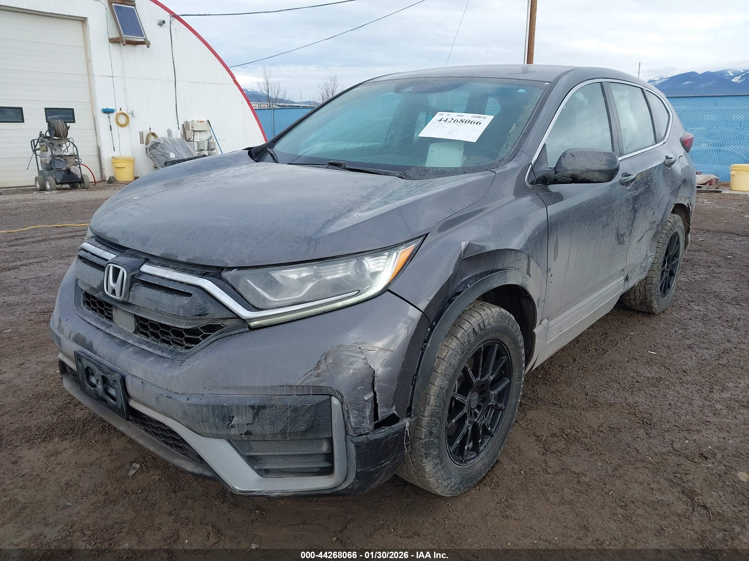HONDA CR-V image 6