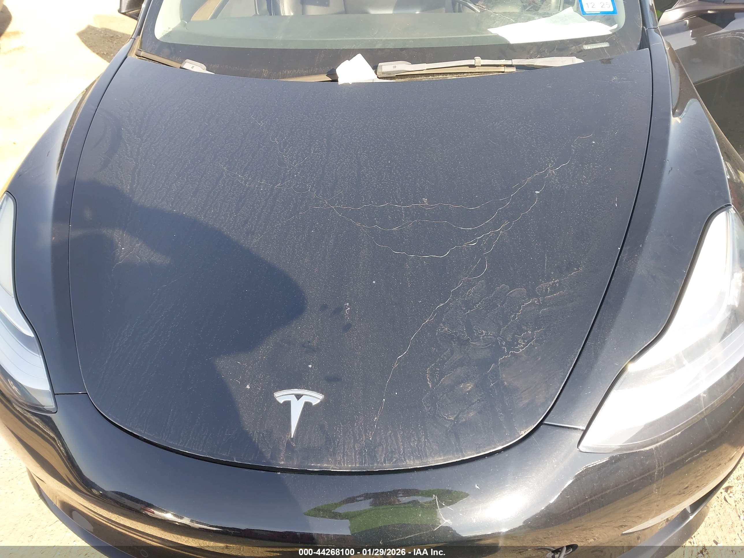 TESLA MODEL image 10